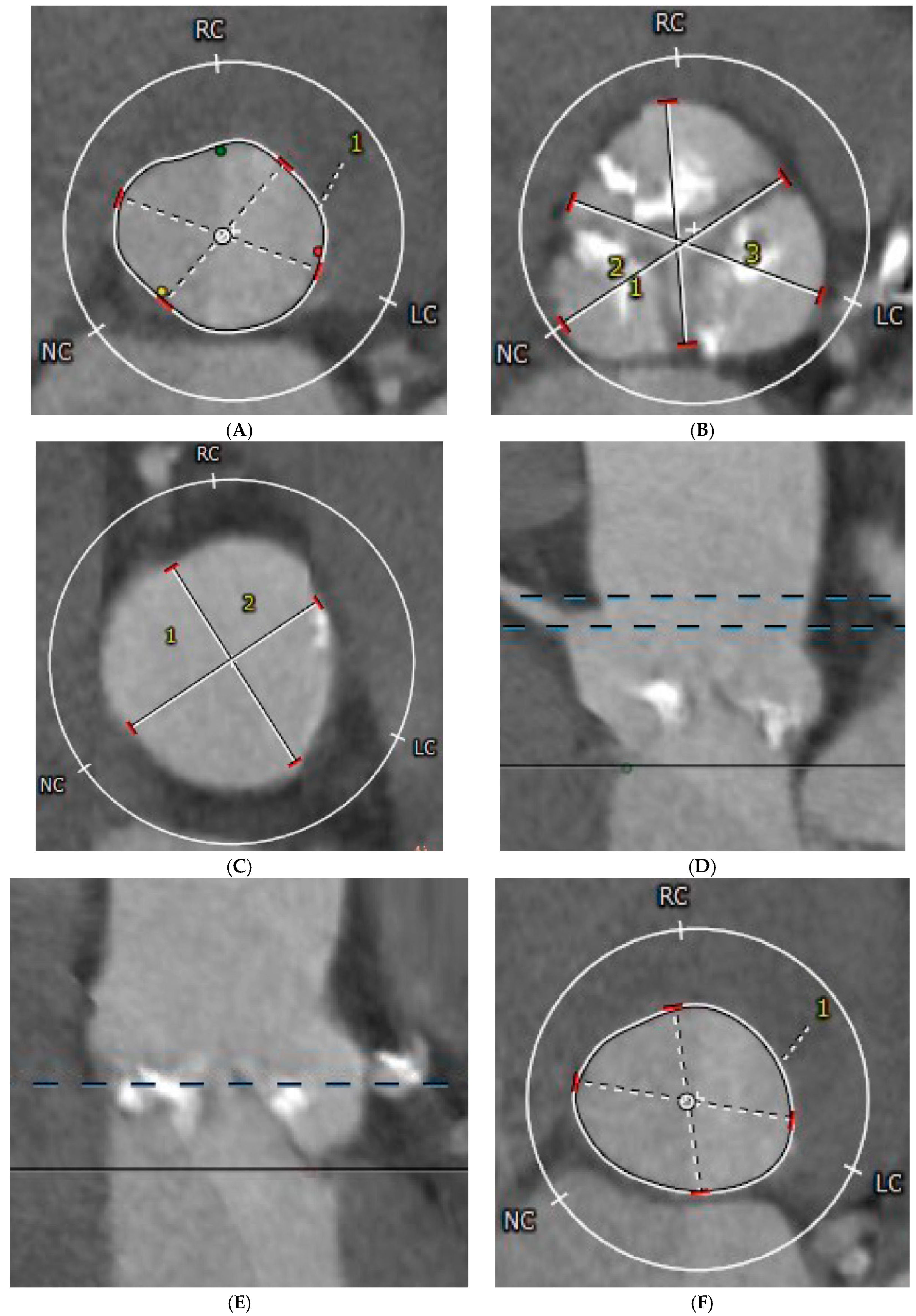 Medicina 61 01650 g001