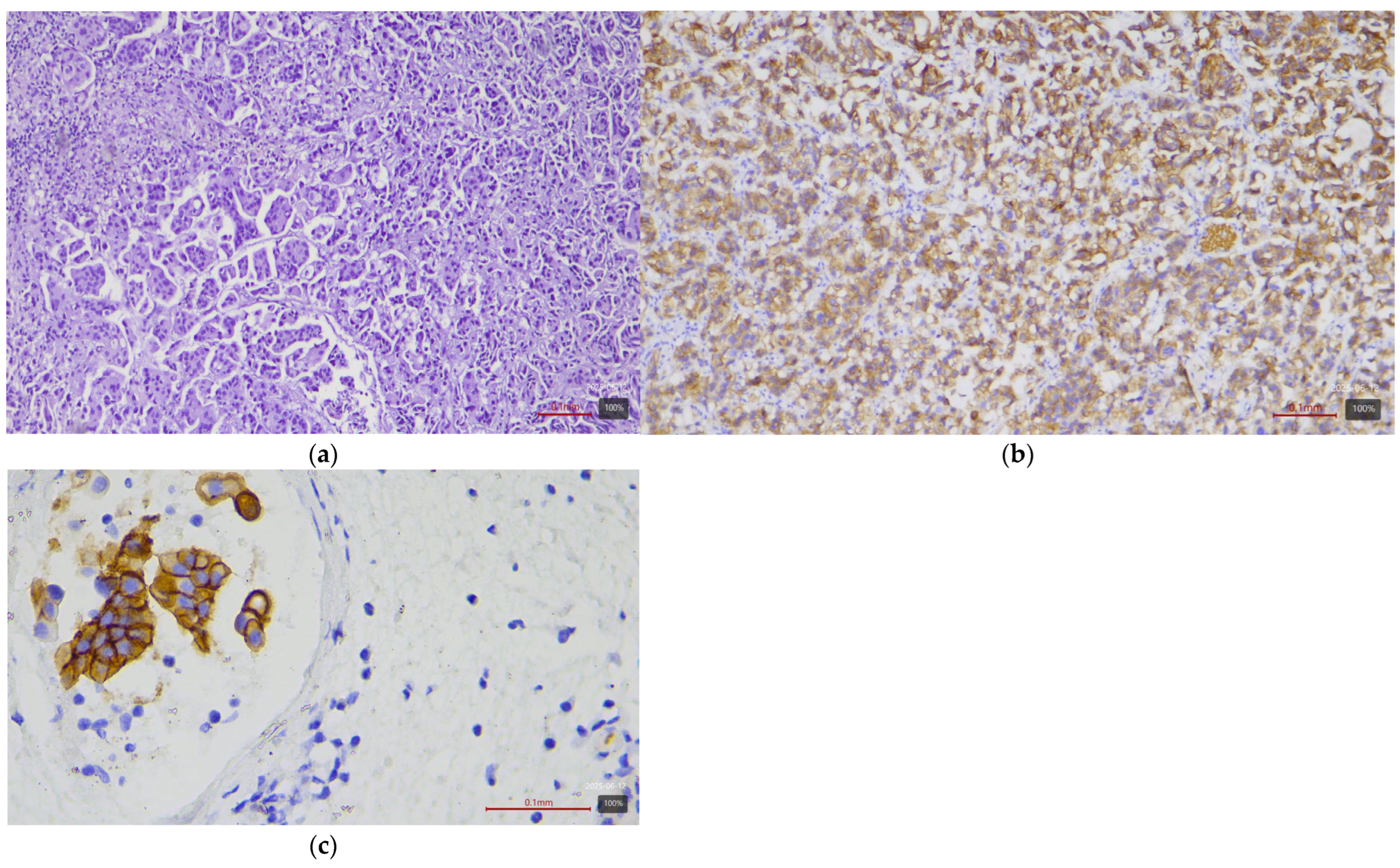 Medicina 61 01759 g002