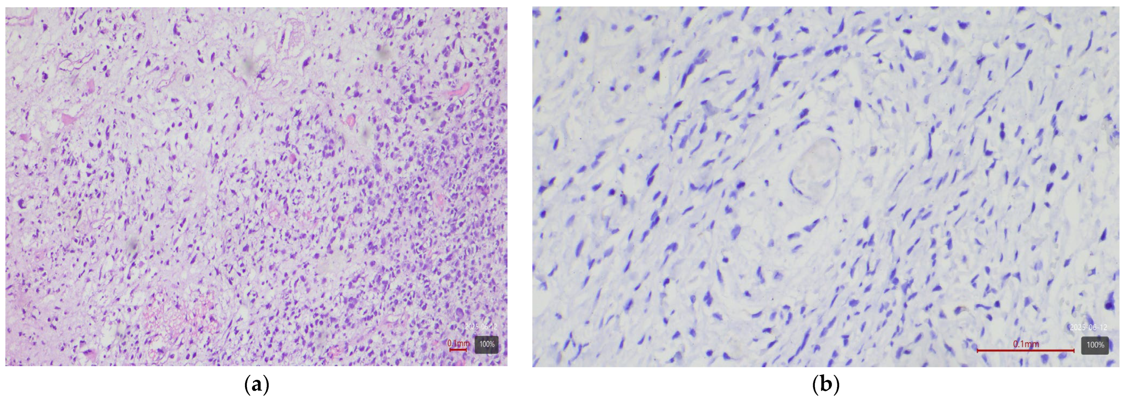 Medicina 61 01759 g003