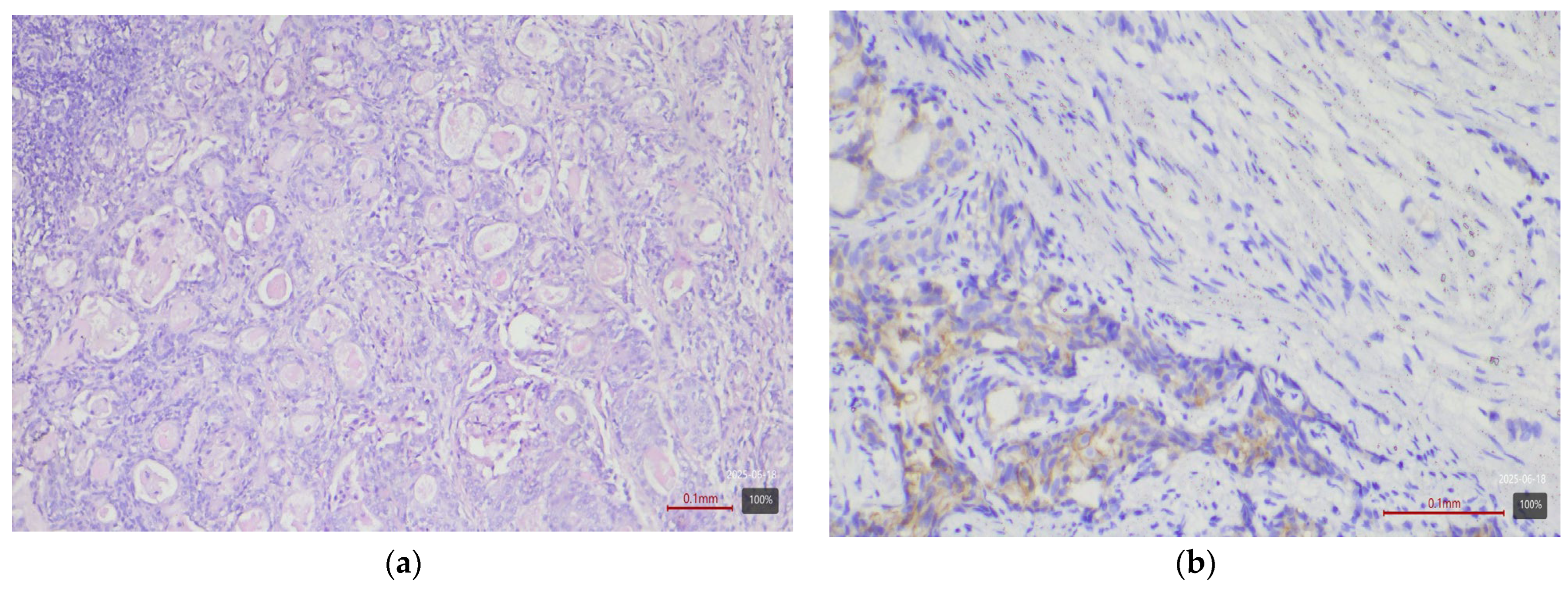 Medicina 61 01759 g006