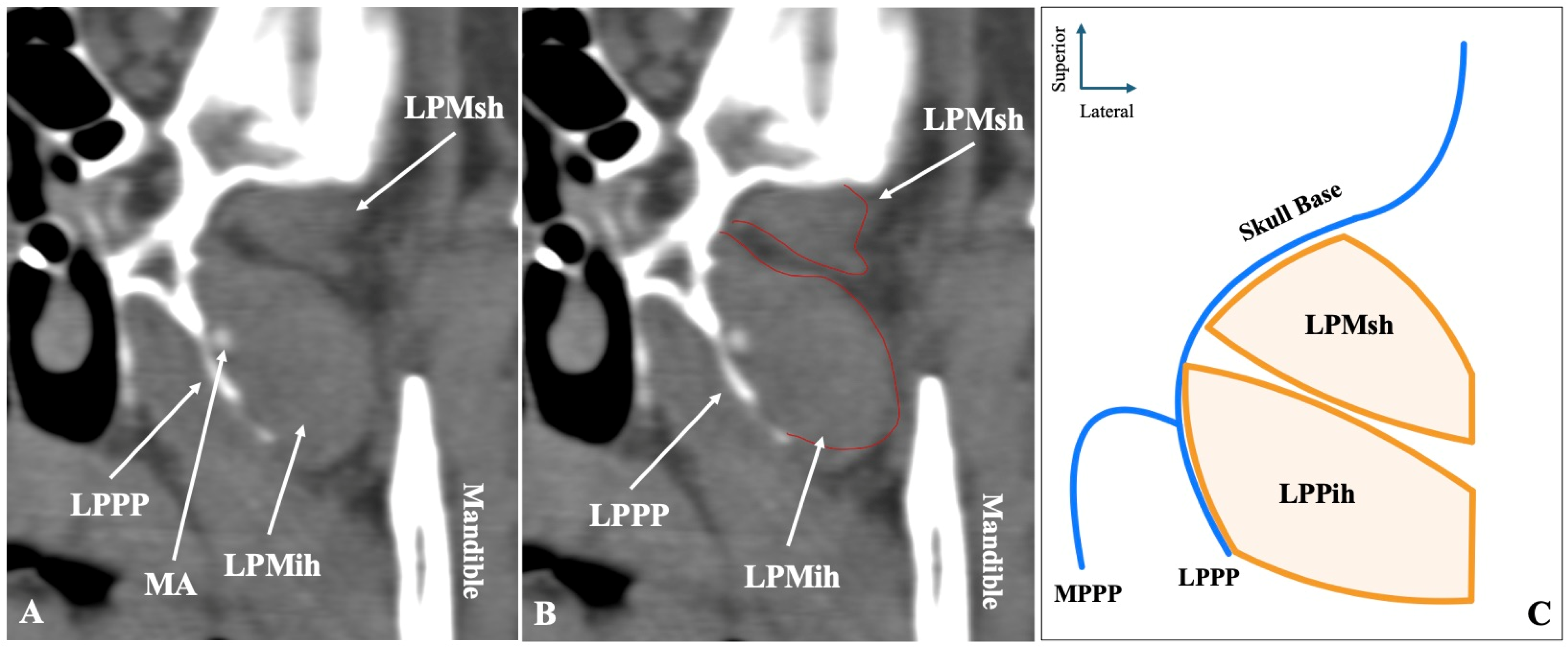 Medicina 61 01780 g001