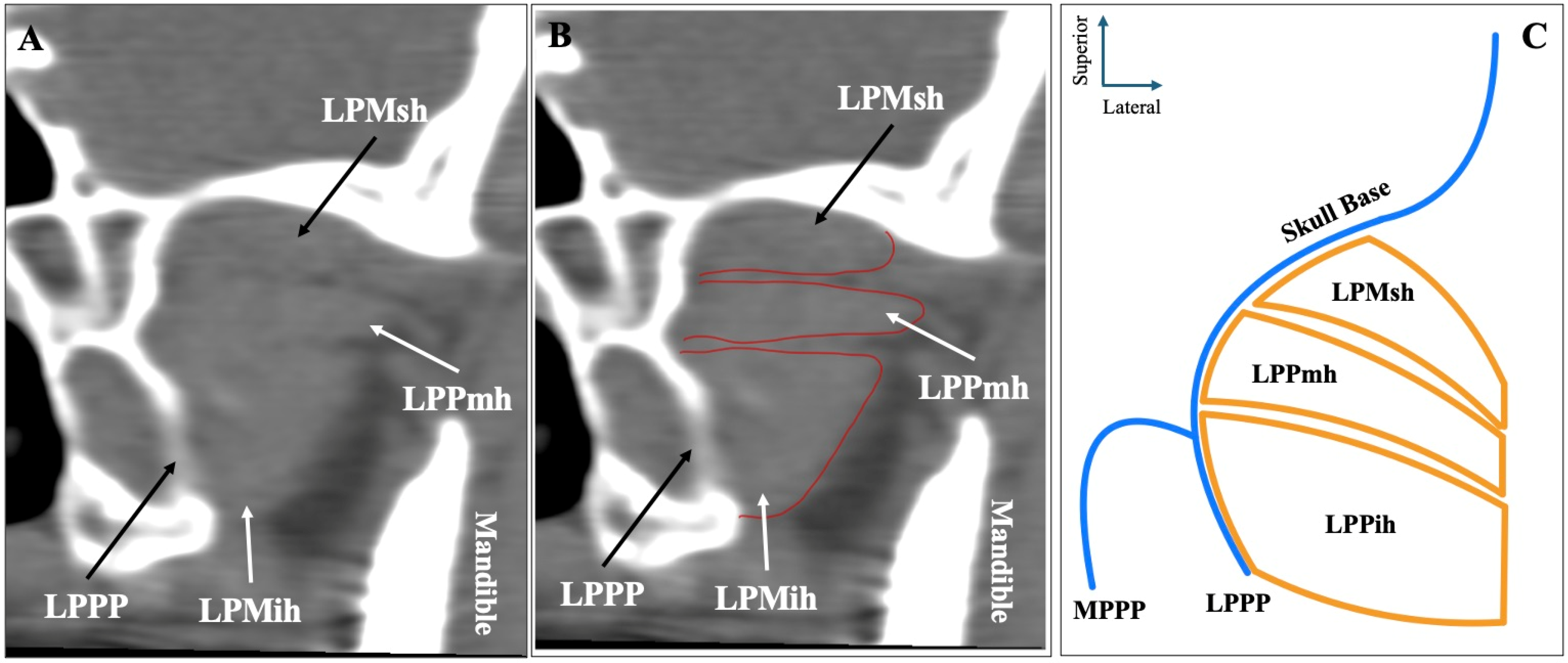 Medicina 61 01780 g002