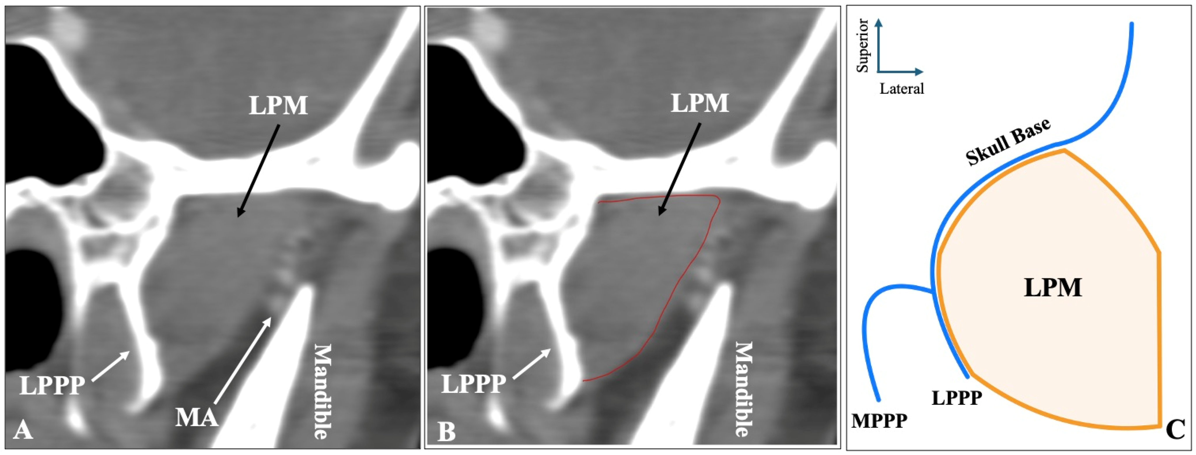 Medicina 61 01780 g003