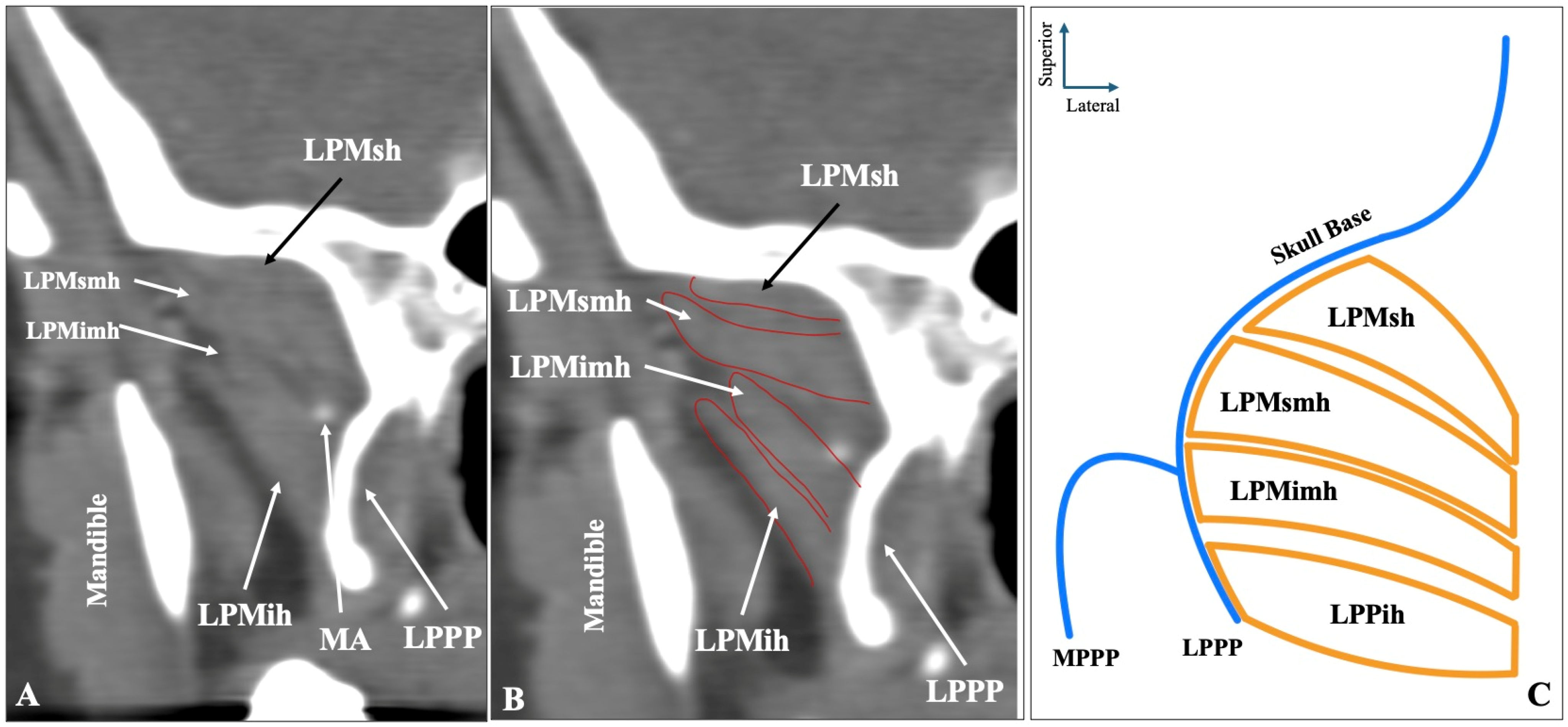 Medicina 61 01780 g004
