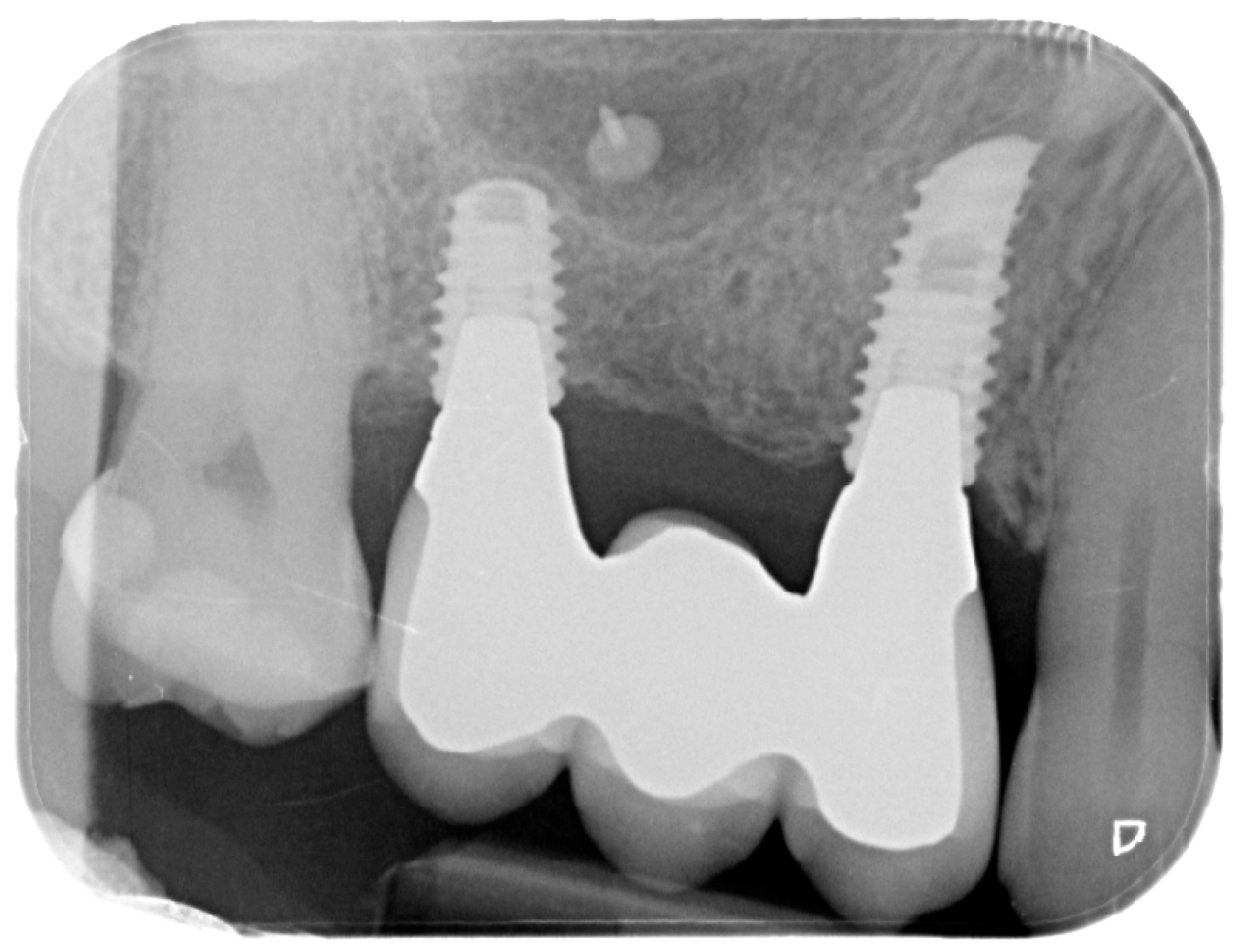 Medicina 61 01814 g012 Medicina 61 01814 g012