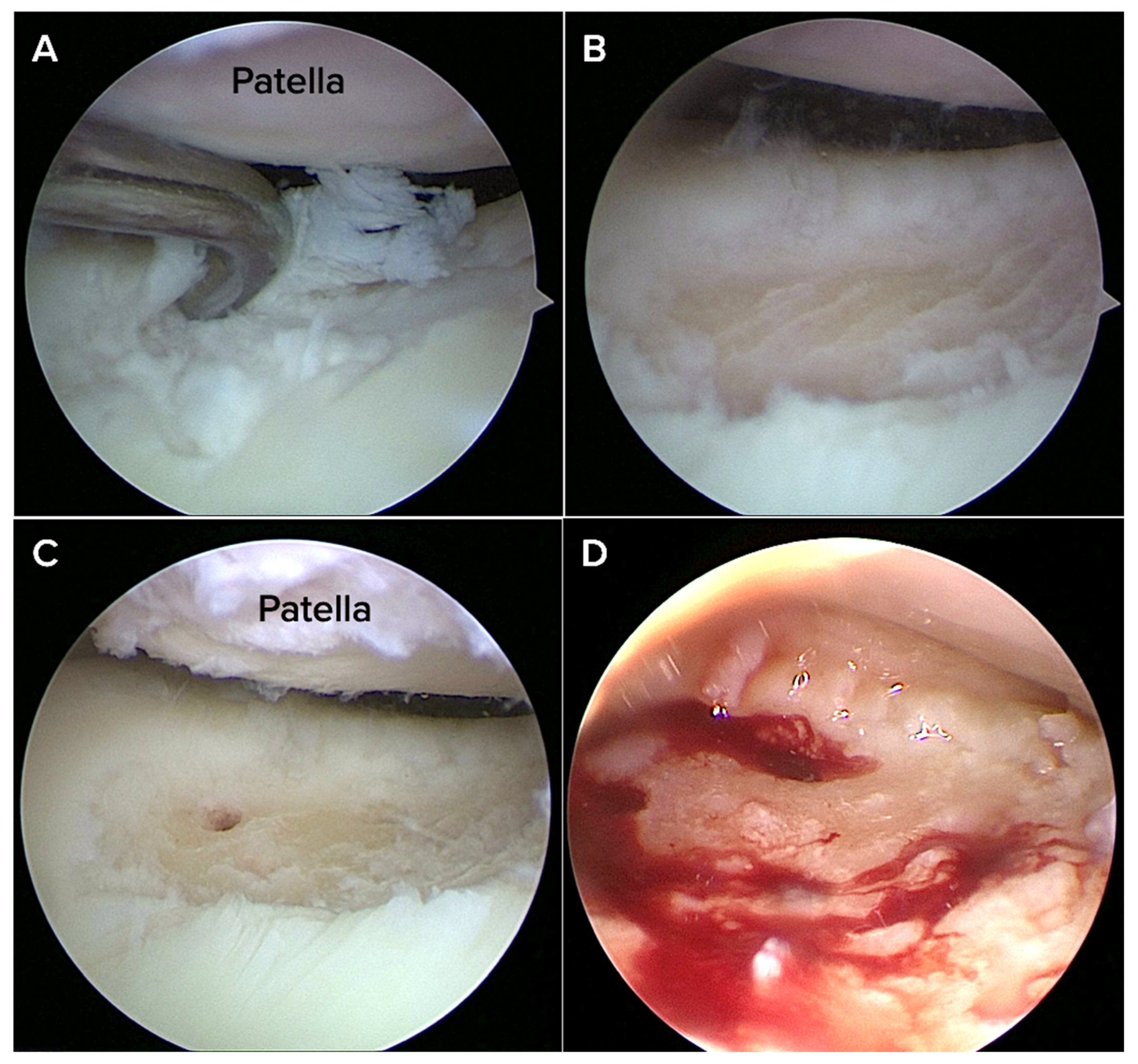 Medicina 61 01849 g001