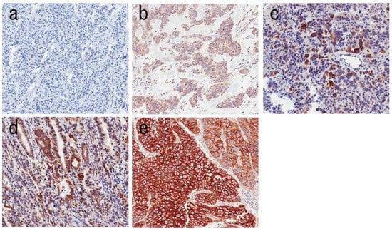 Medicina 61 01890 g003