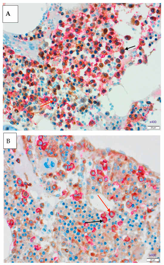 Medicina 61 01948 g002