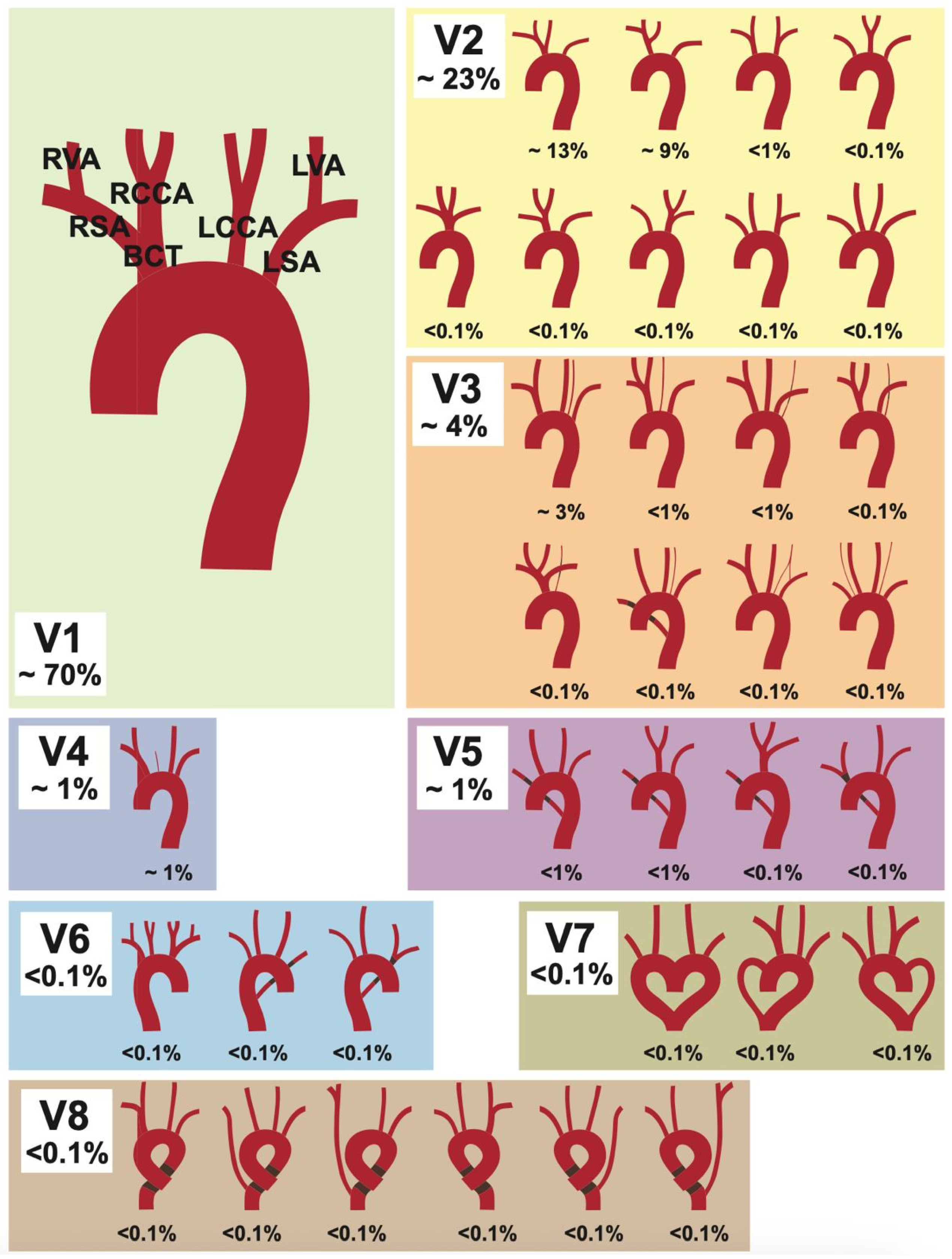 Medicina 61 02059 g001 Medicina 61 02059 g001