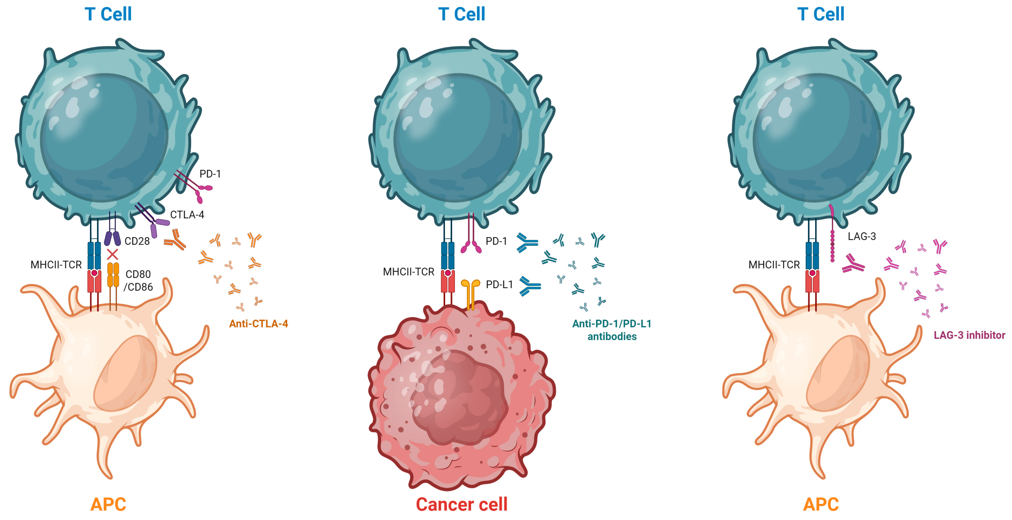 Medicina 61 02064 g001