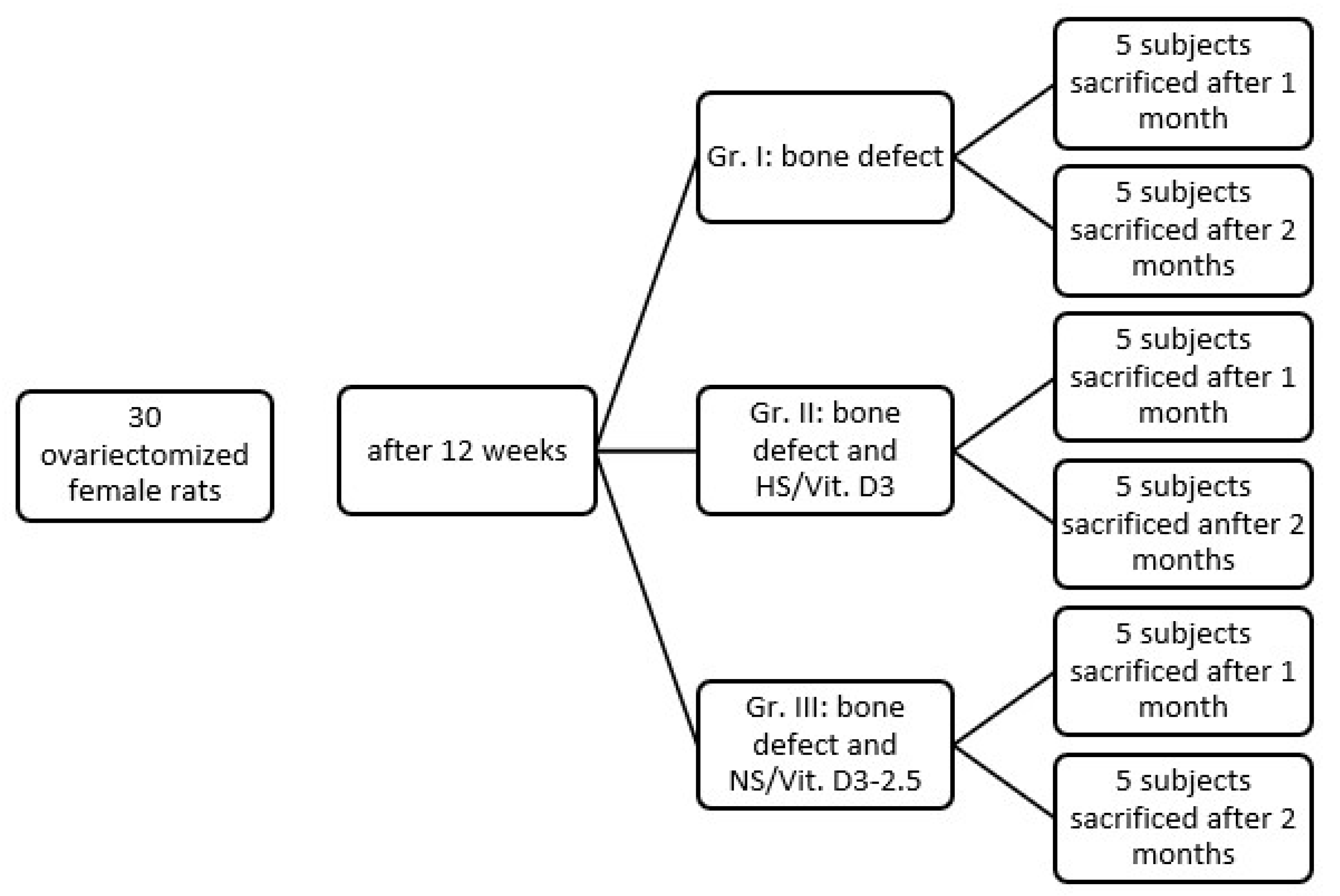 Medicina 62 00073 g001 Medicina 62 00073 g001