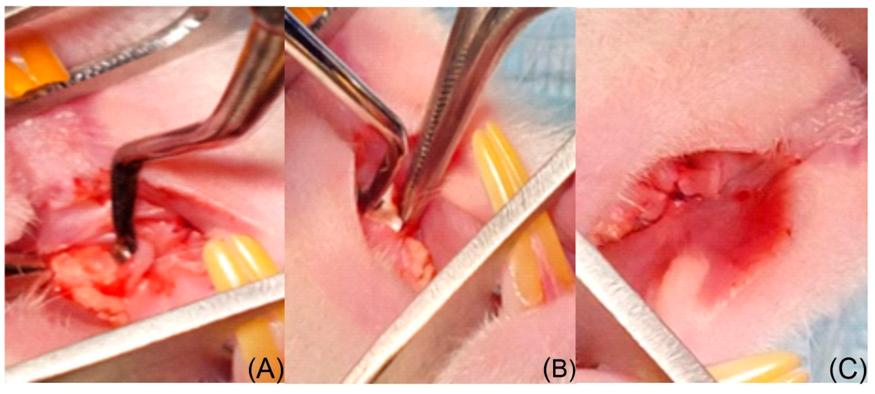 Medicina 62 00073 g002 Medicina 62 00073 g002