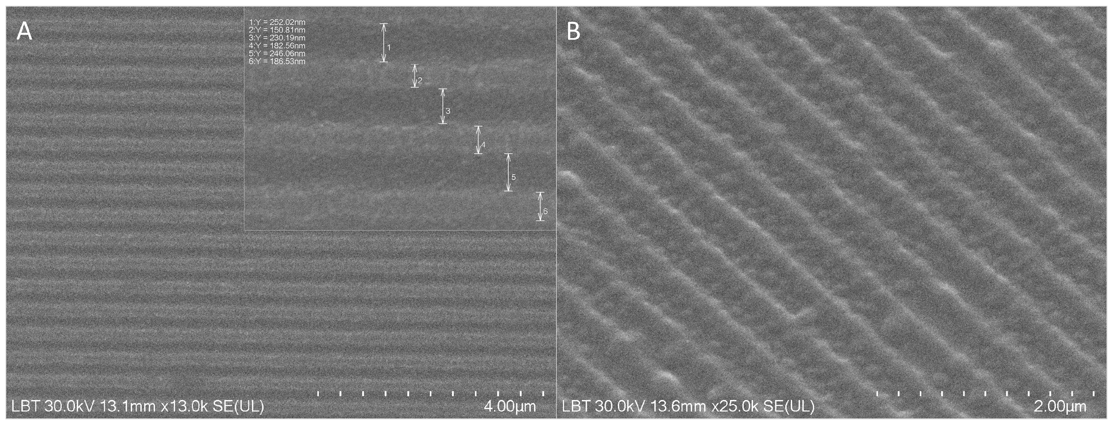 Medicina 62 00073 g003 Medicina 62 00073 g003