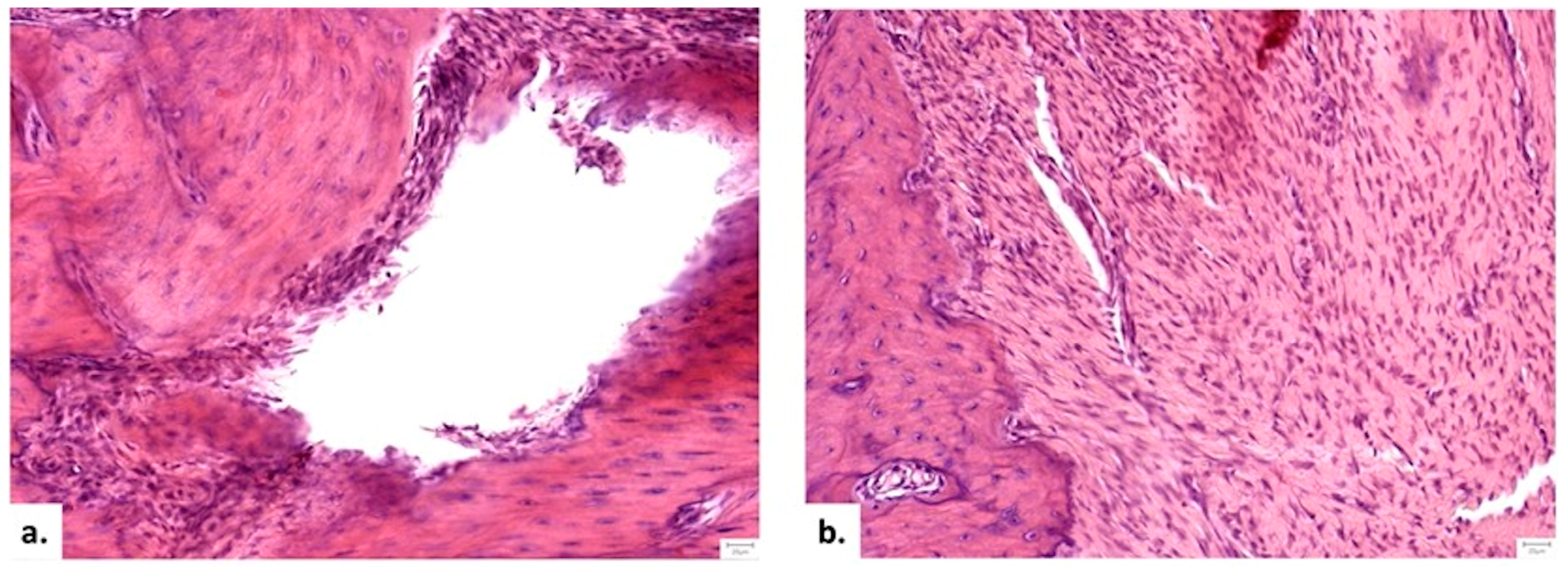 Medicina 62 00073 g010a Medicina 62 00073 g010a
