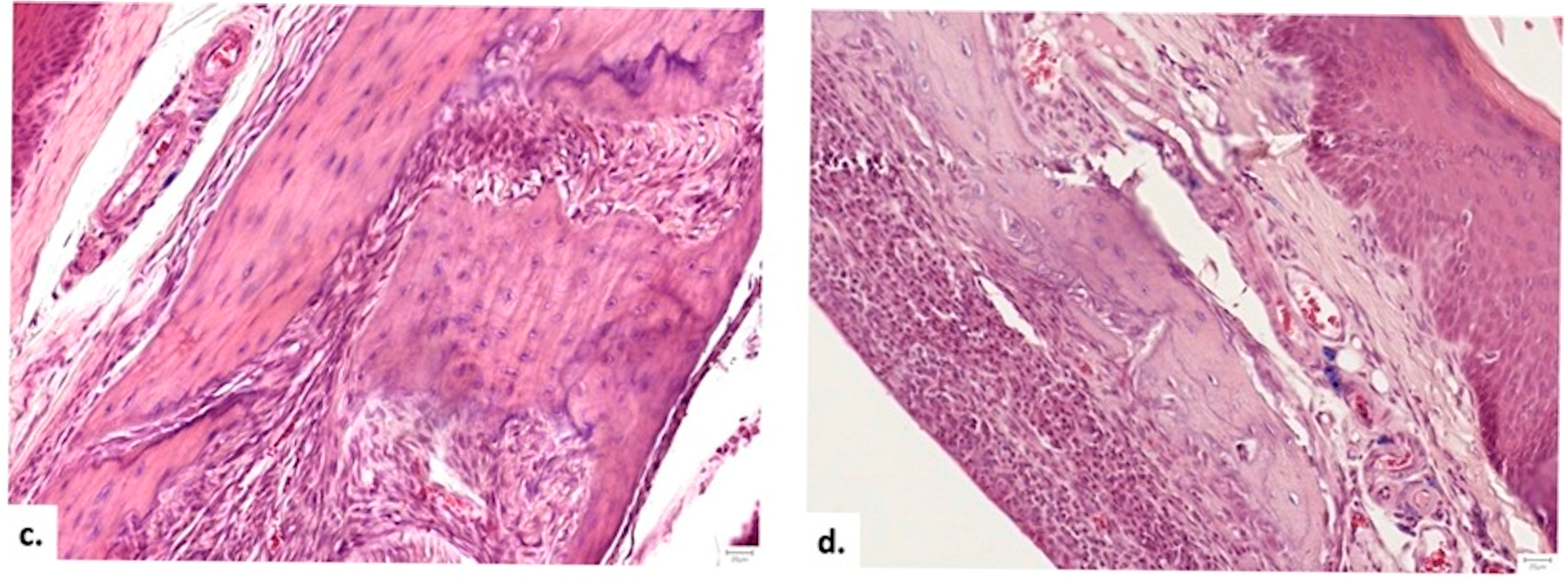 Medicina 62 00073 g010b Medicina 62 00073 g010b