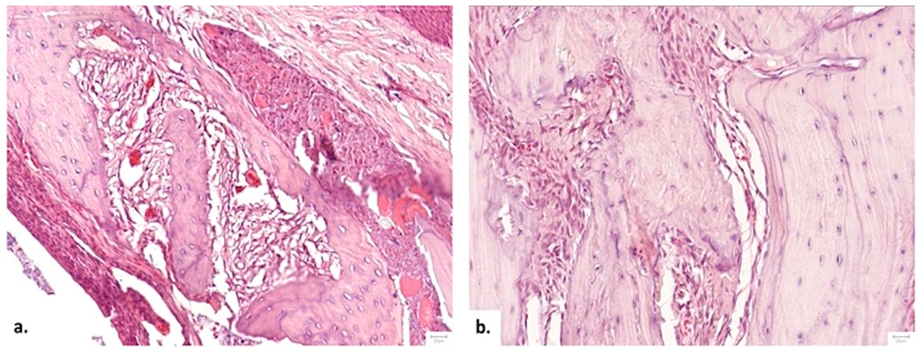 Medicina 62 00073 g011 Medicina 62 00073 g011
