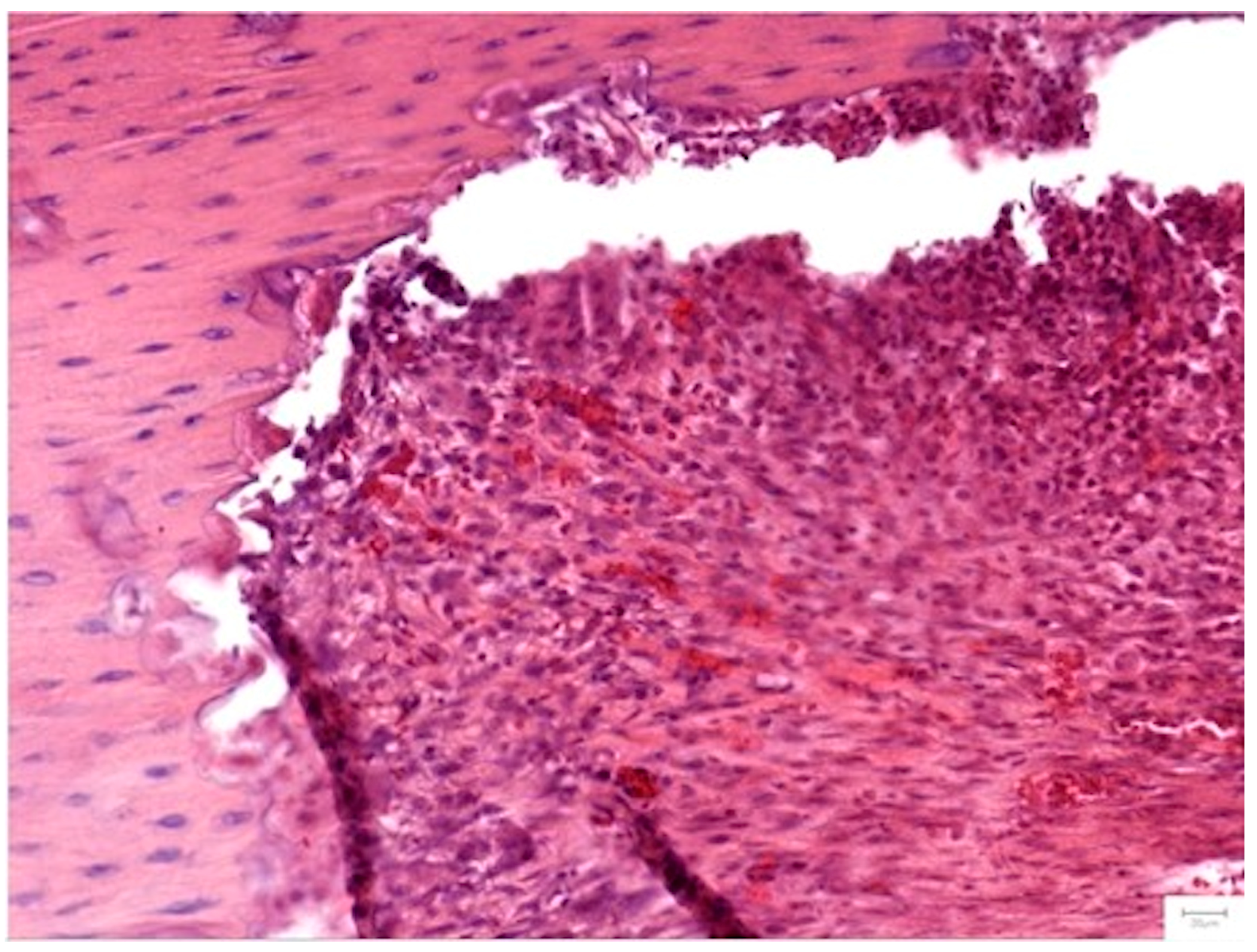 Medicina 62 00073 g012 Medicina 62 00073 g012