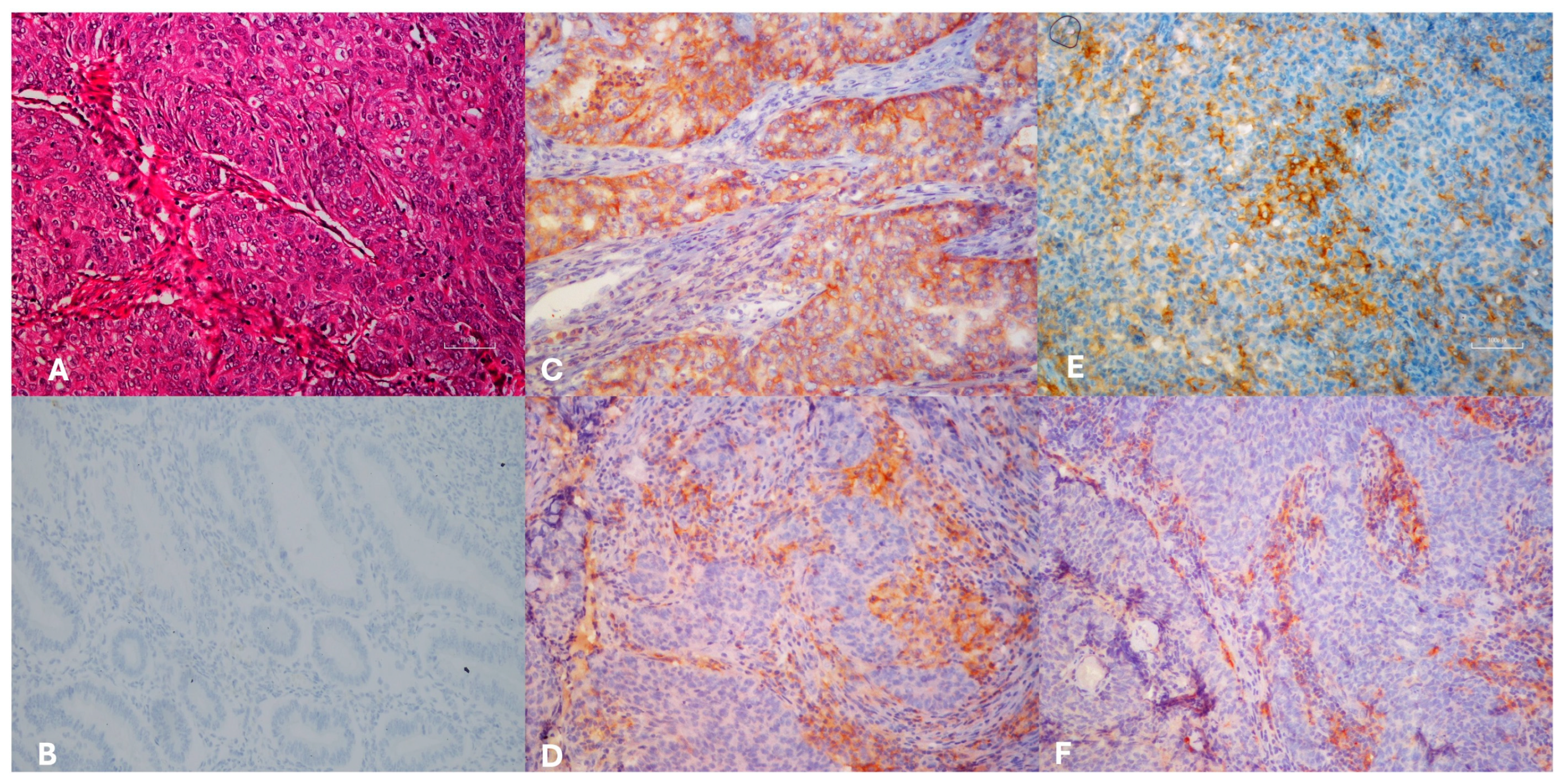 Medicina 62 00327 g001