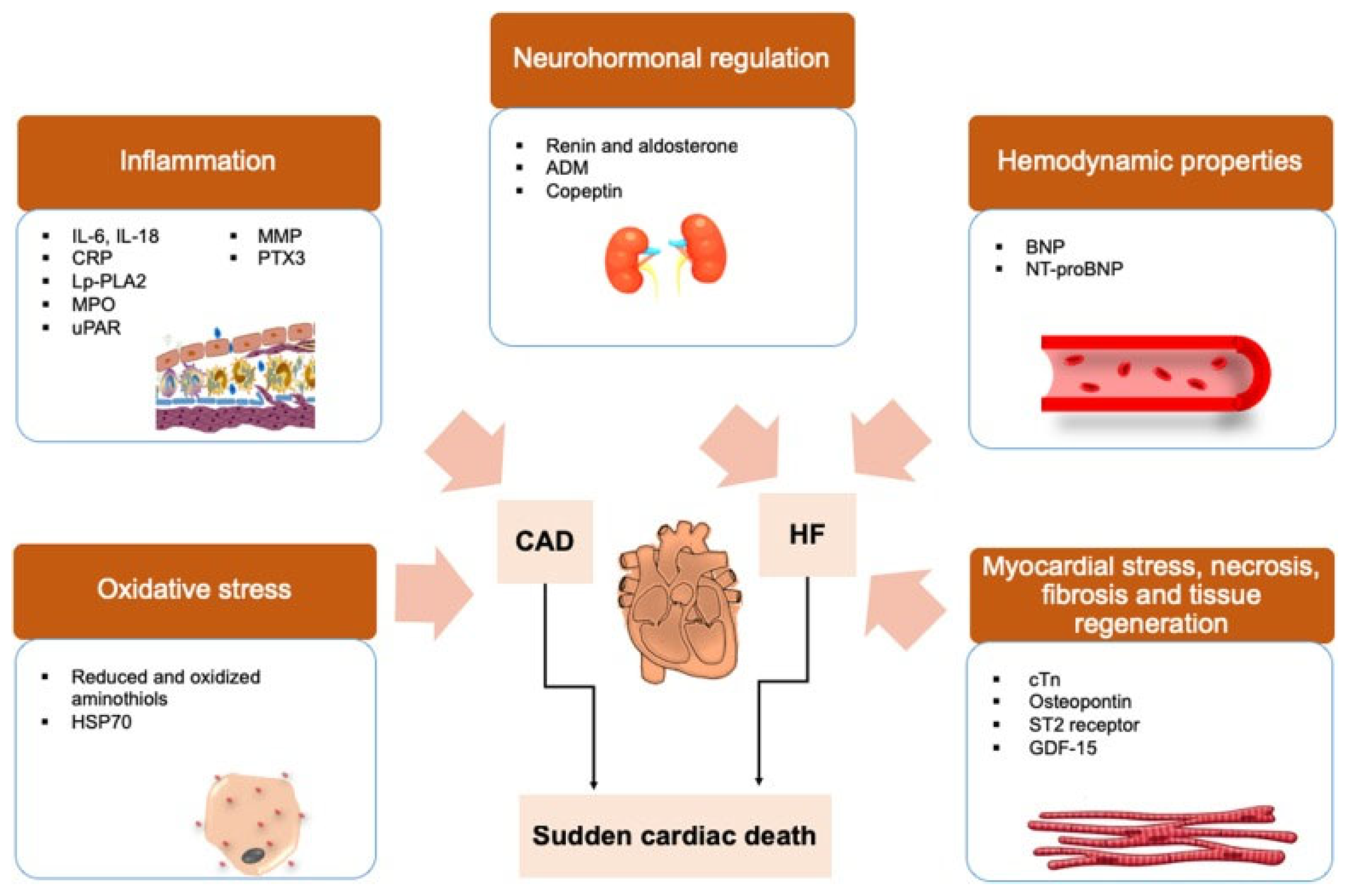 Medicina 62 00394 g002