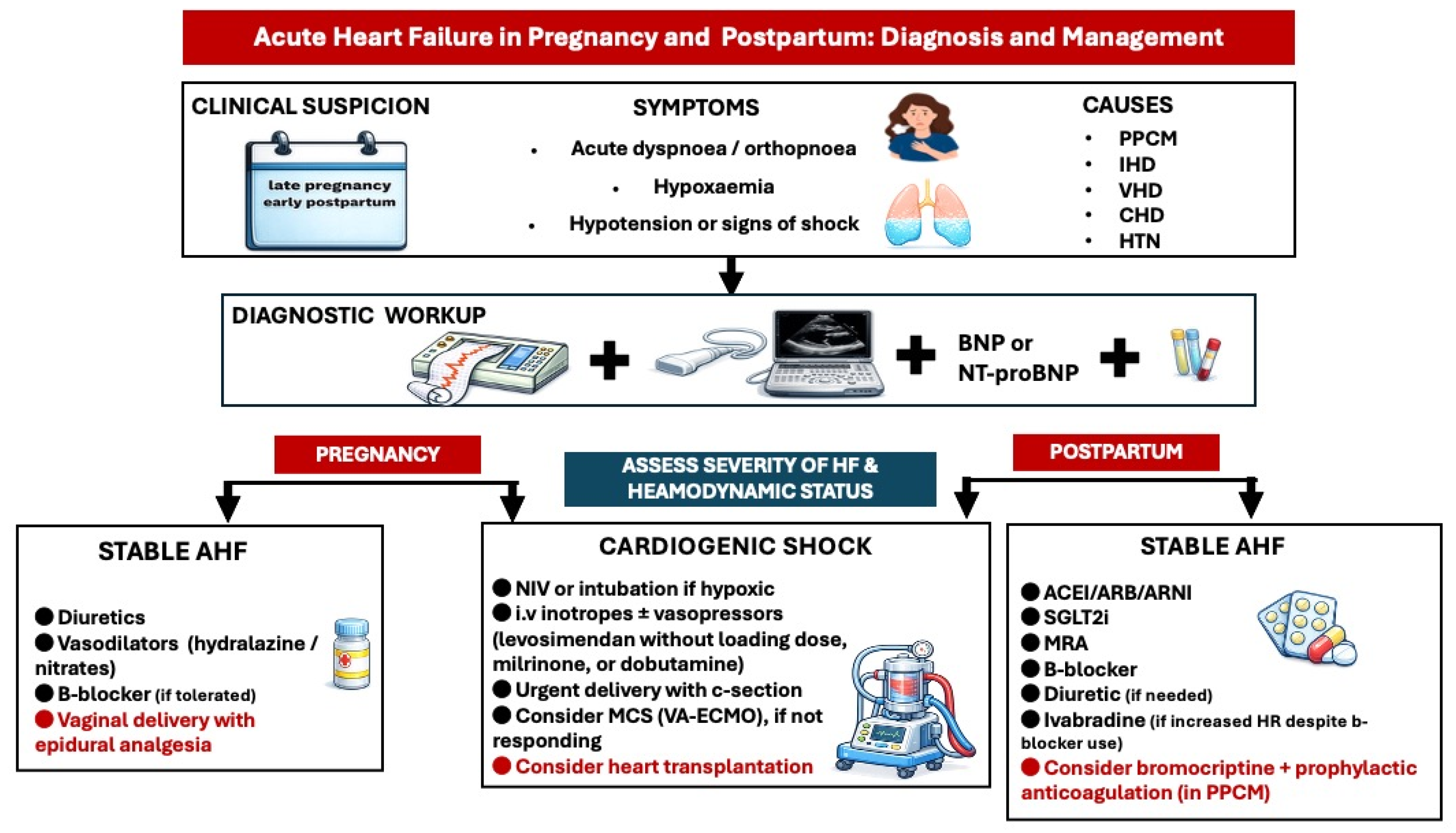Medicina 62 00401 g006