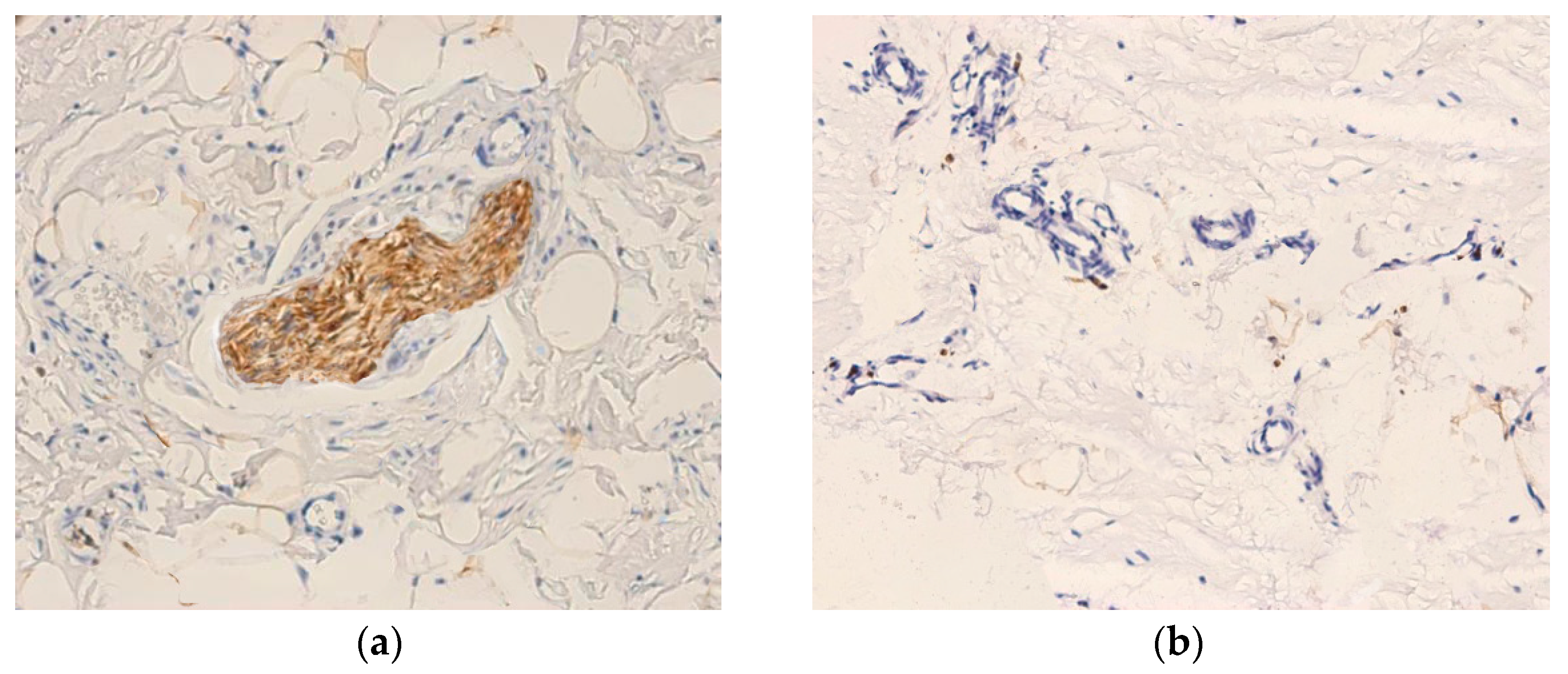 Medicina 62 00407 g002a