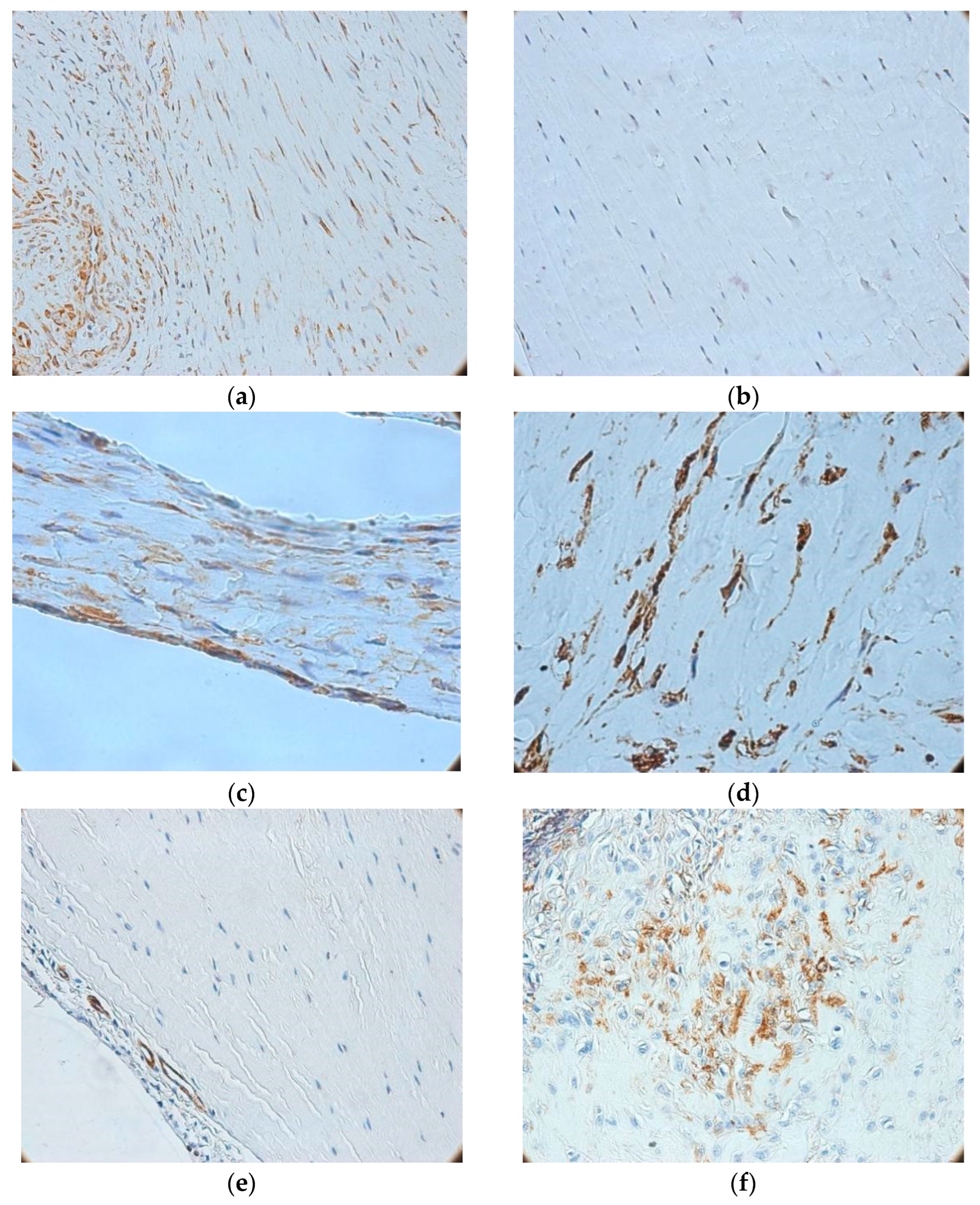 Medicina 62 00407 g003
