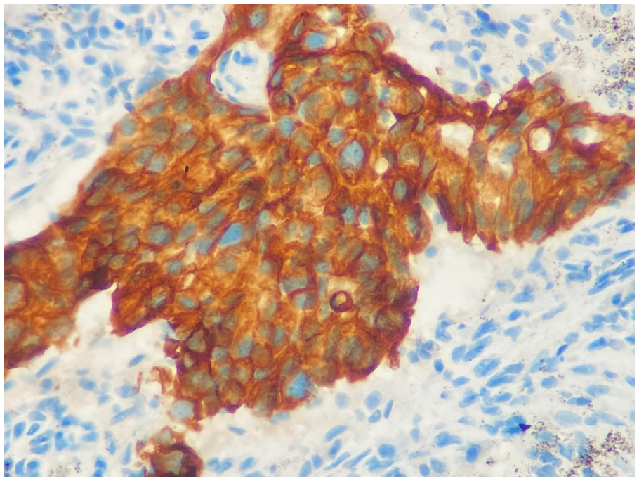 Medicina 62 00538 g001 Medicina 62 00538 g001