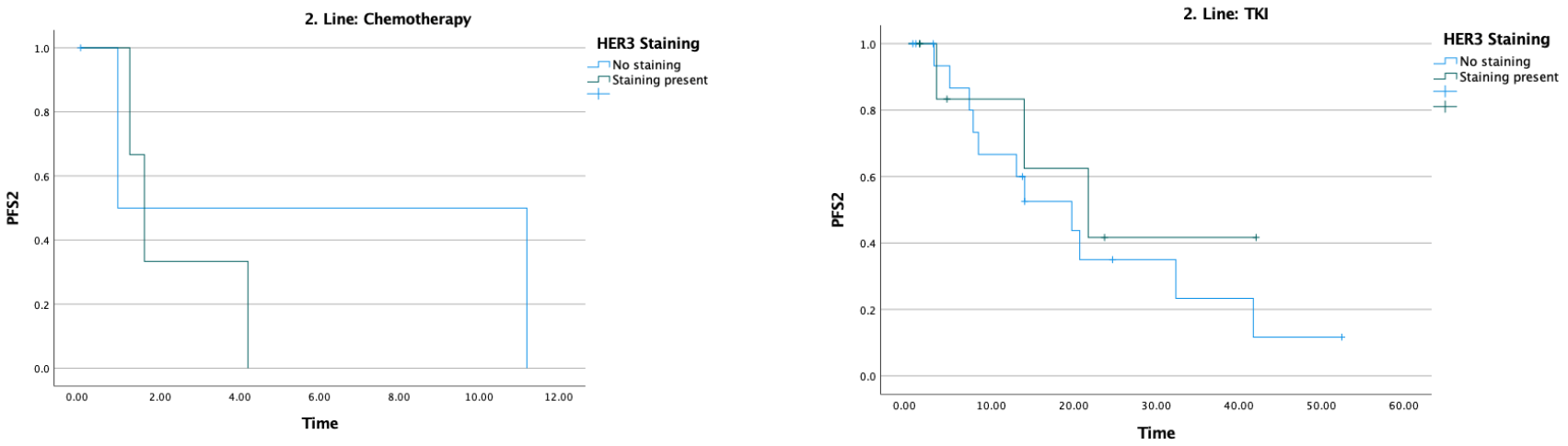 Medicina 62 00538 g004 Medicina 62 00538 g004