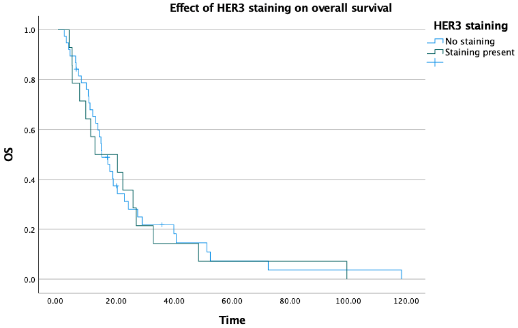Medicina 62 00538 g005 Medicina 62 00538 g005