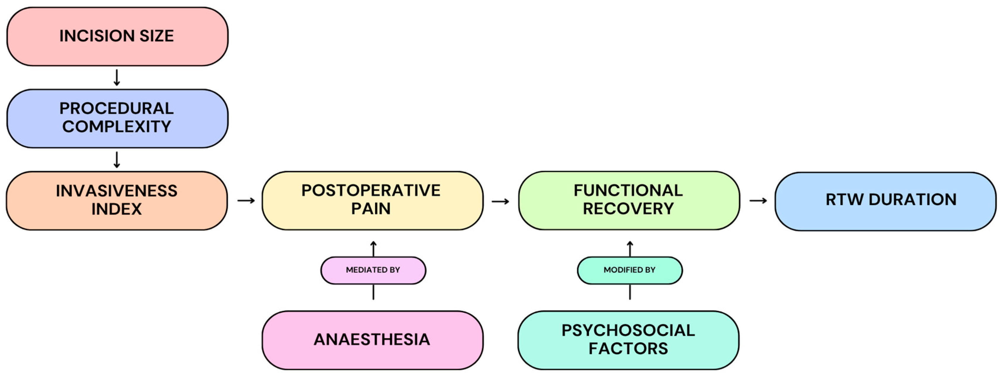 Medicina 62 00557 g002