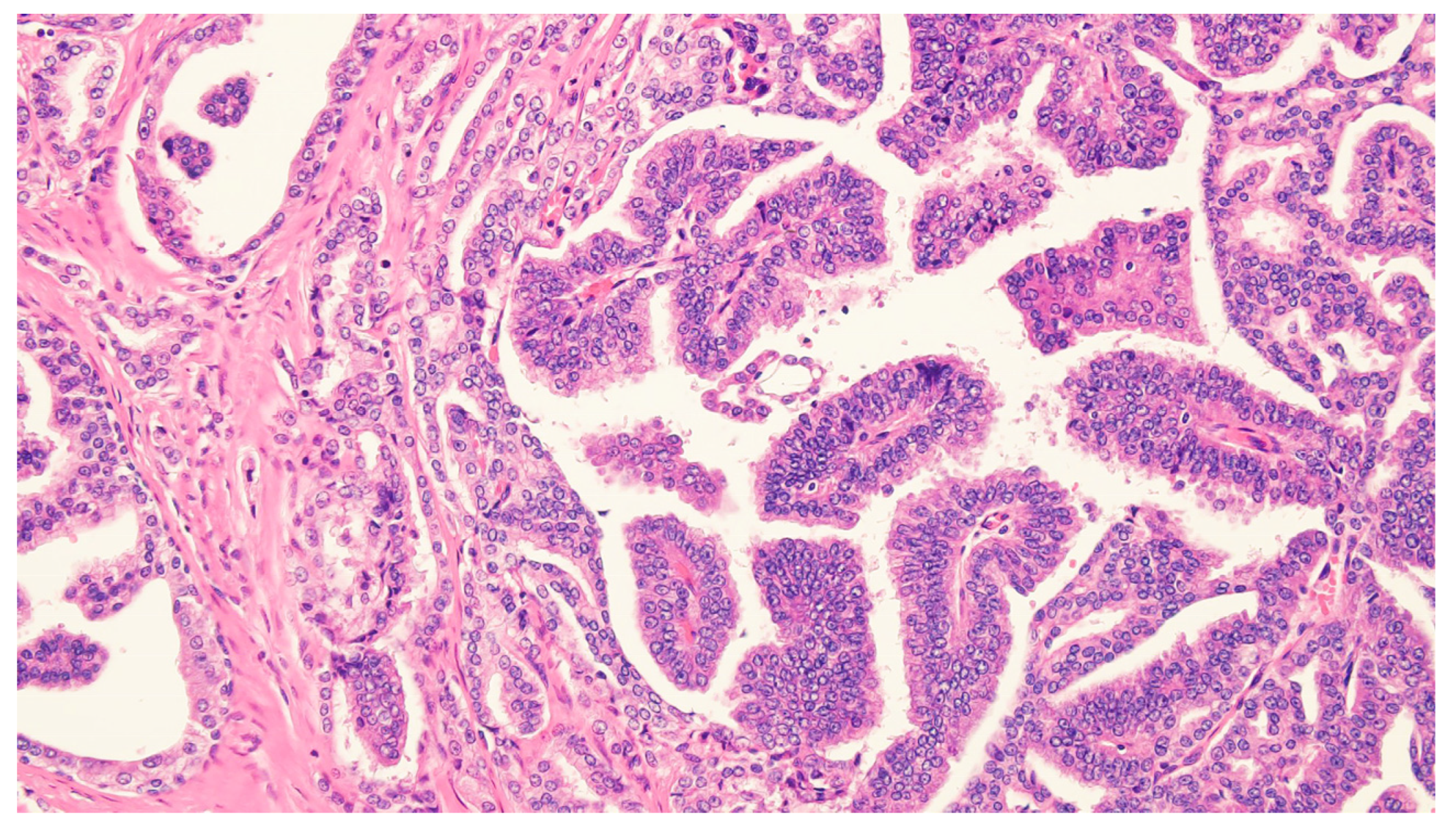 Medicina 62 01465 g007