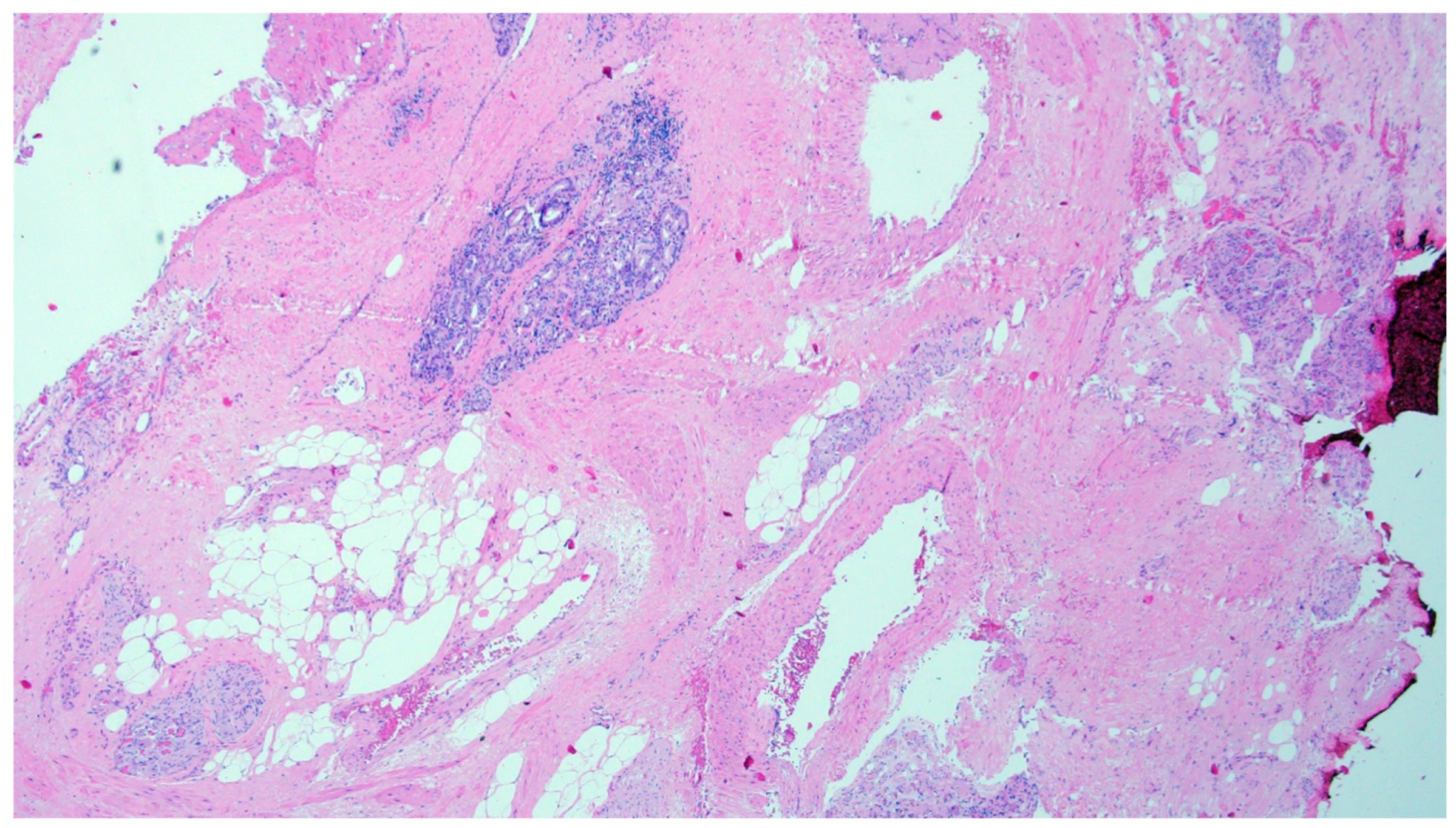 Medicina 62 01465 g014