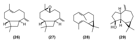 Medicines 02 00028 i007
