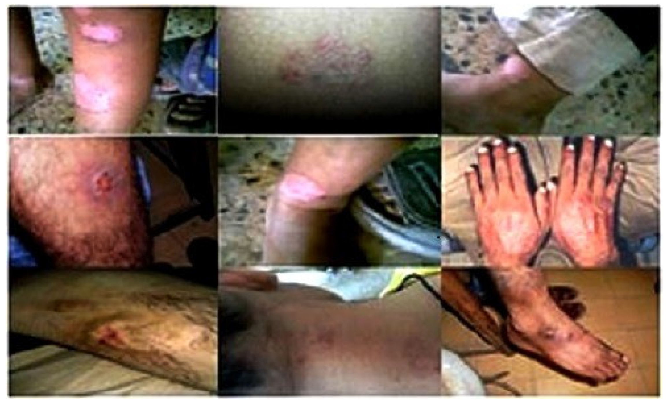 Medicines 03 00012 g002