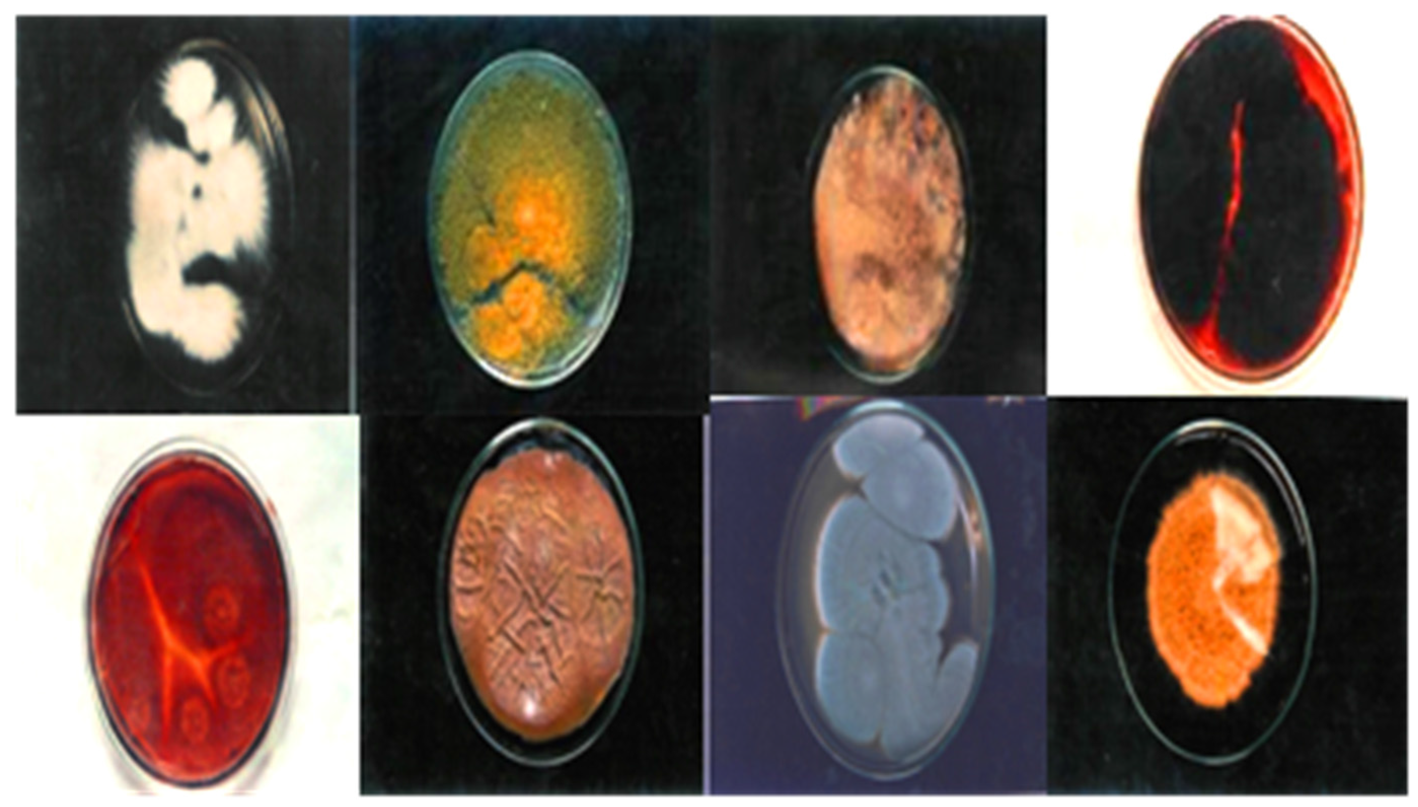 Medicines 03 00012 g003