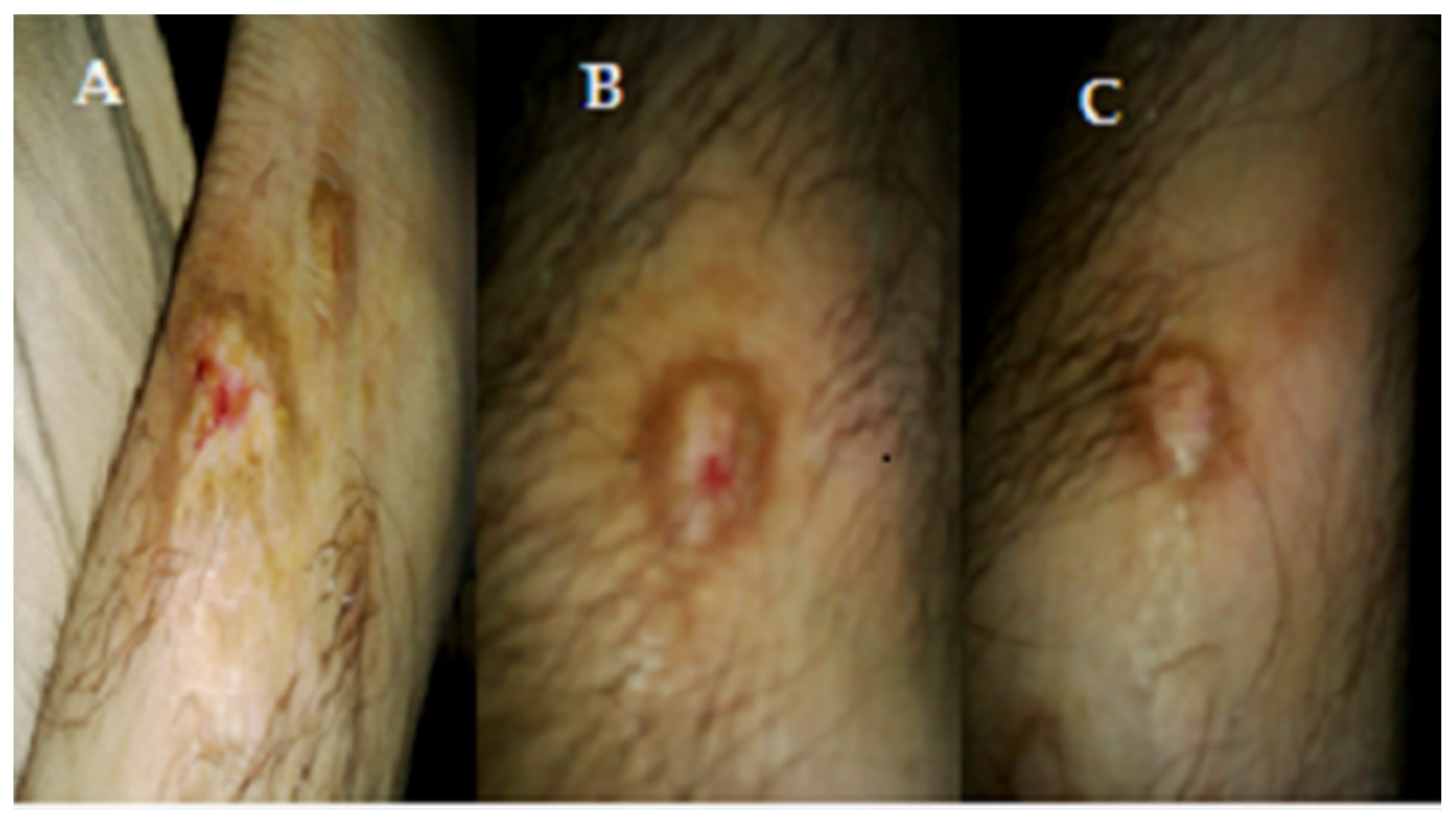 Medicines 03 00012 g004