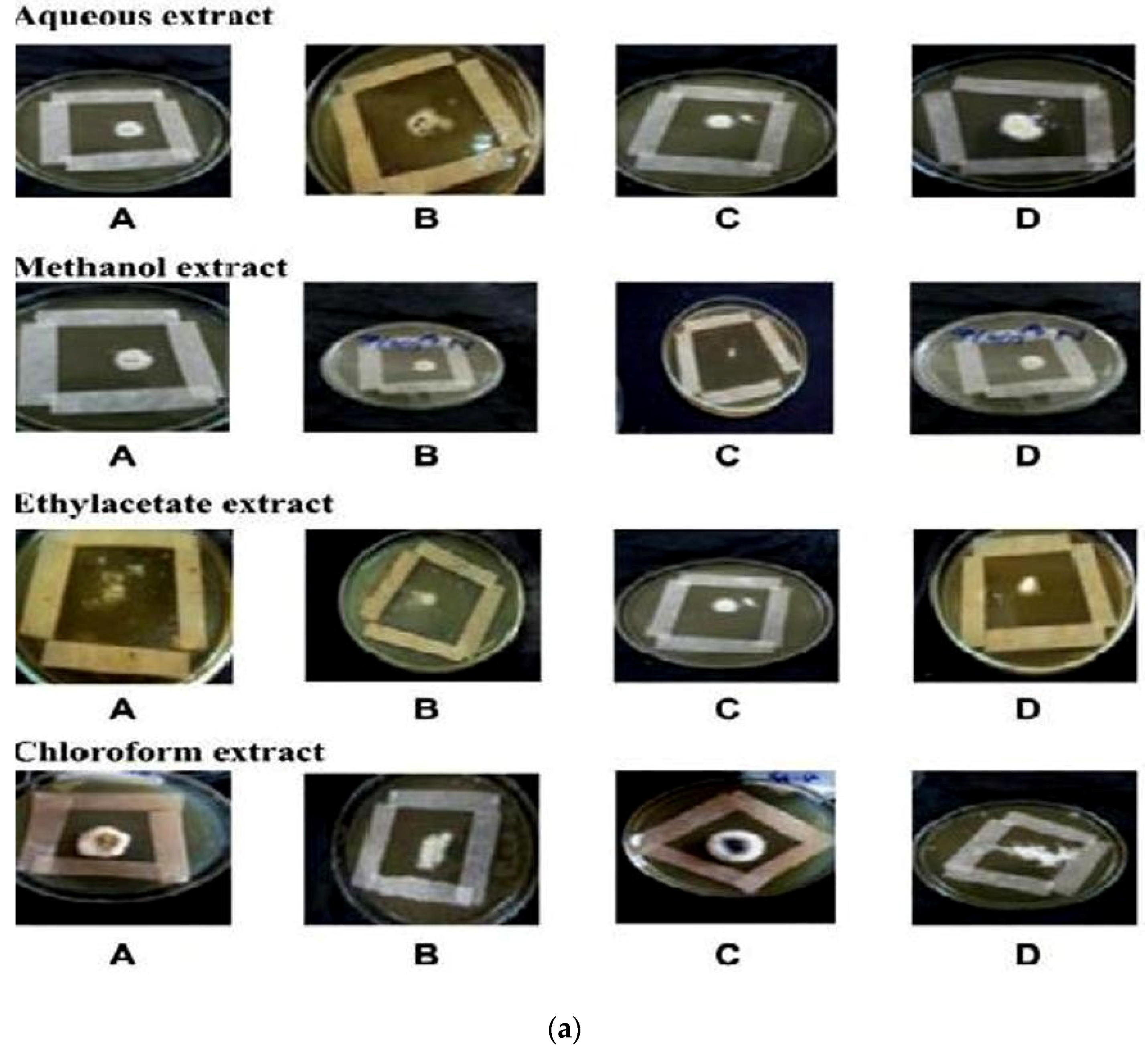Medicines 03 00012 g006a