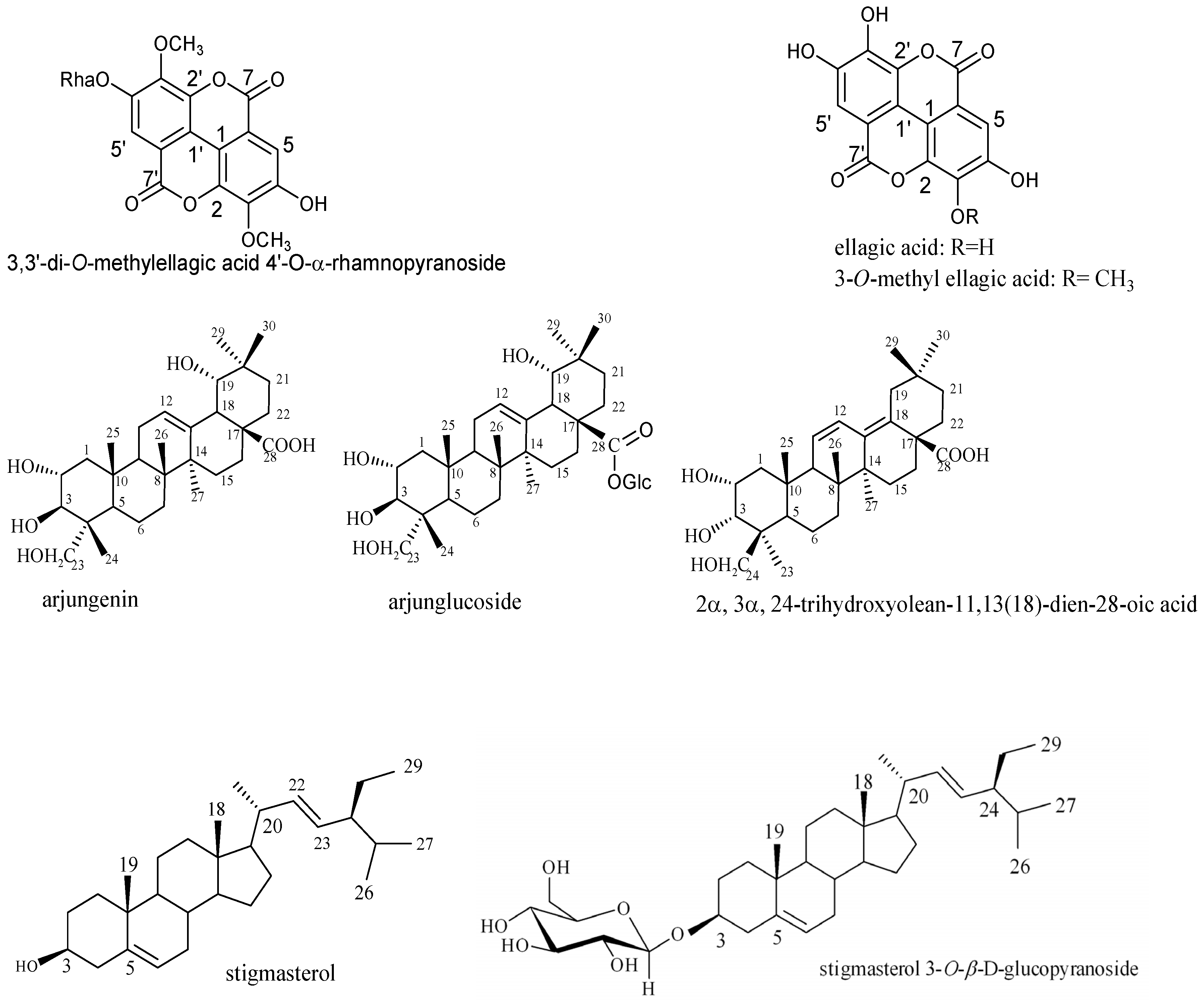 Medicines 04 00006 g001