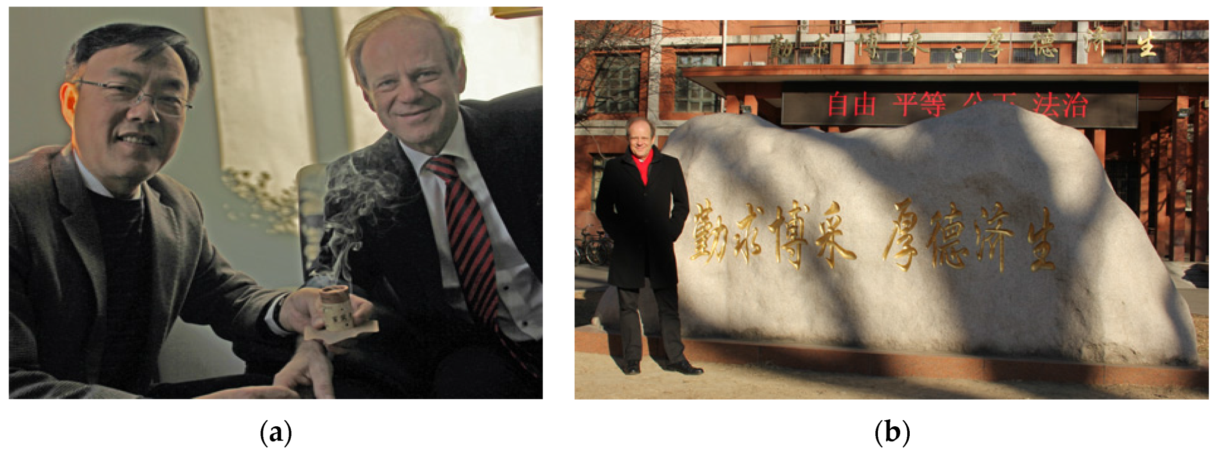 Medicines 04 00013 g001