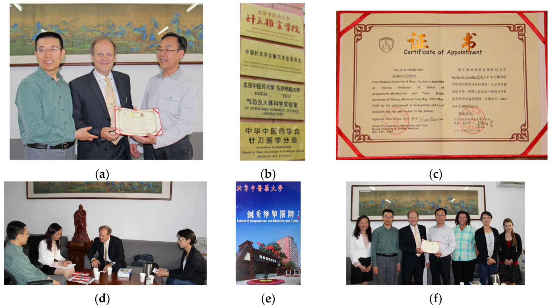 Medicines 04 00013 g012