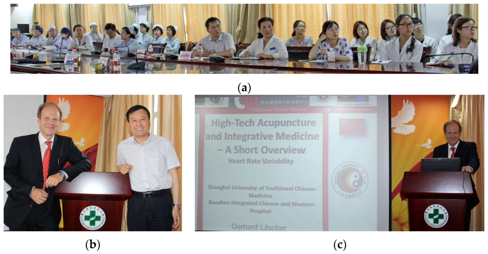 Medicines 04 00013 g017a