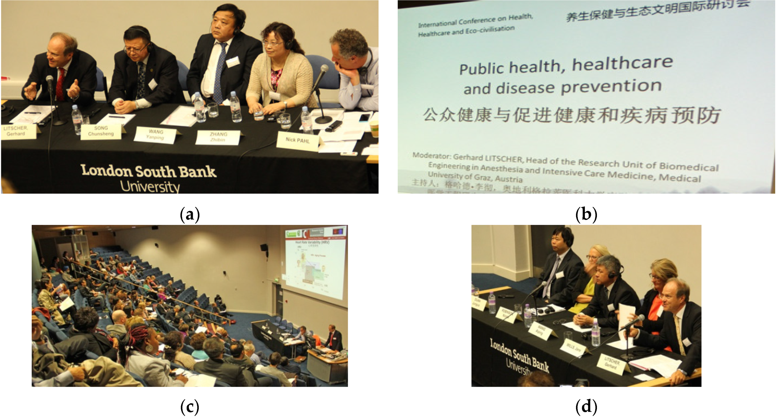 Medicines 04 00013 g020