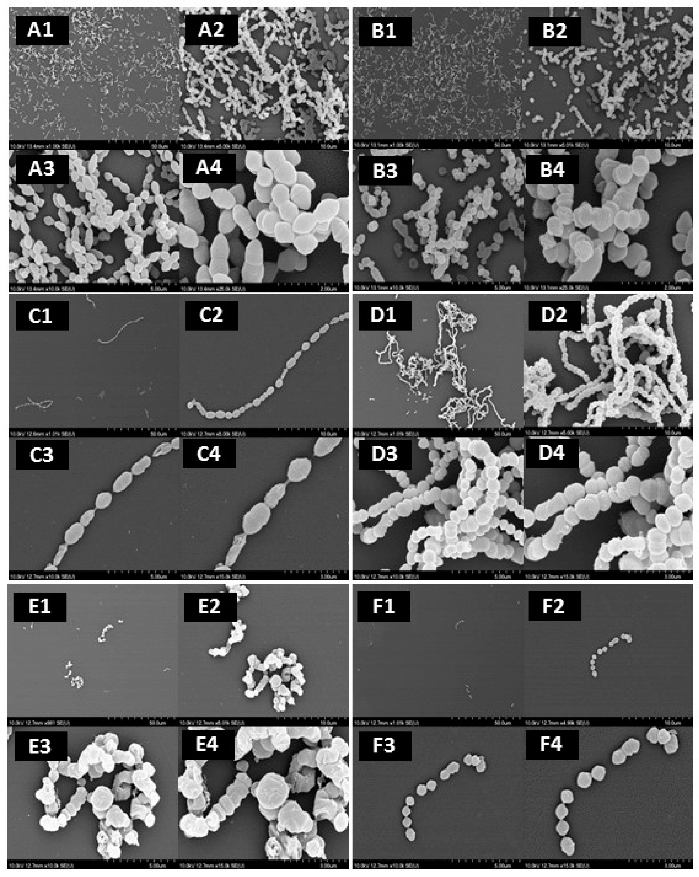 Medicines 04 00025 g002