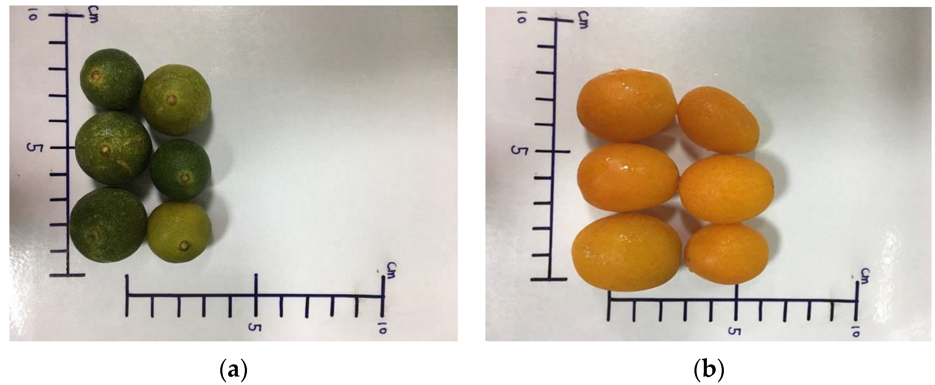 Medicines 04 00028 g001