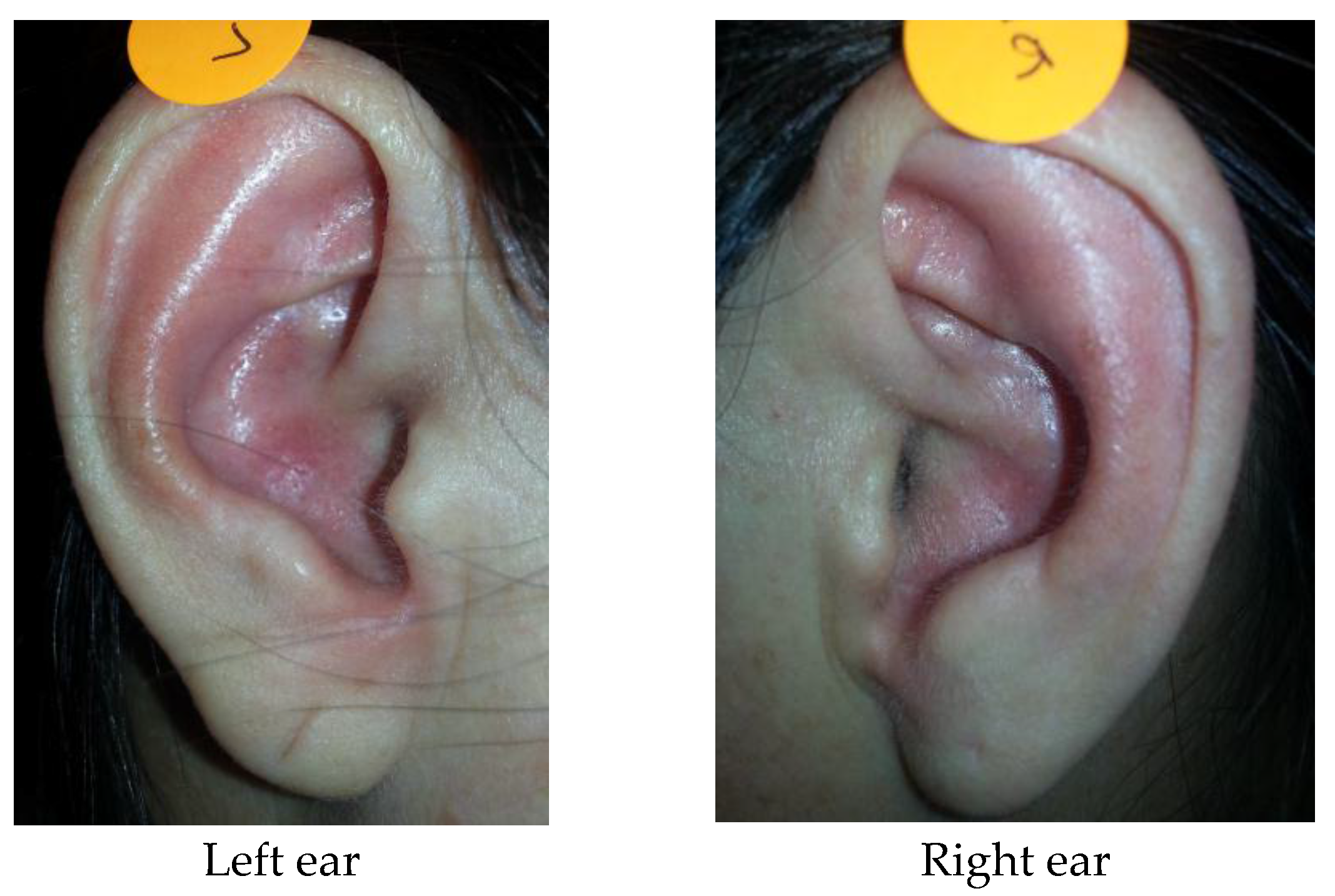 Medicines 04 00045 g002