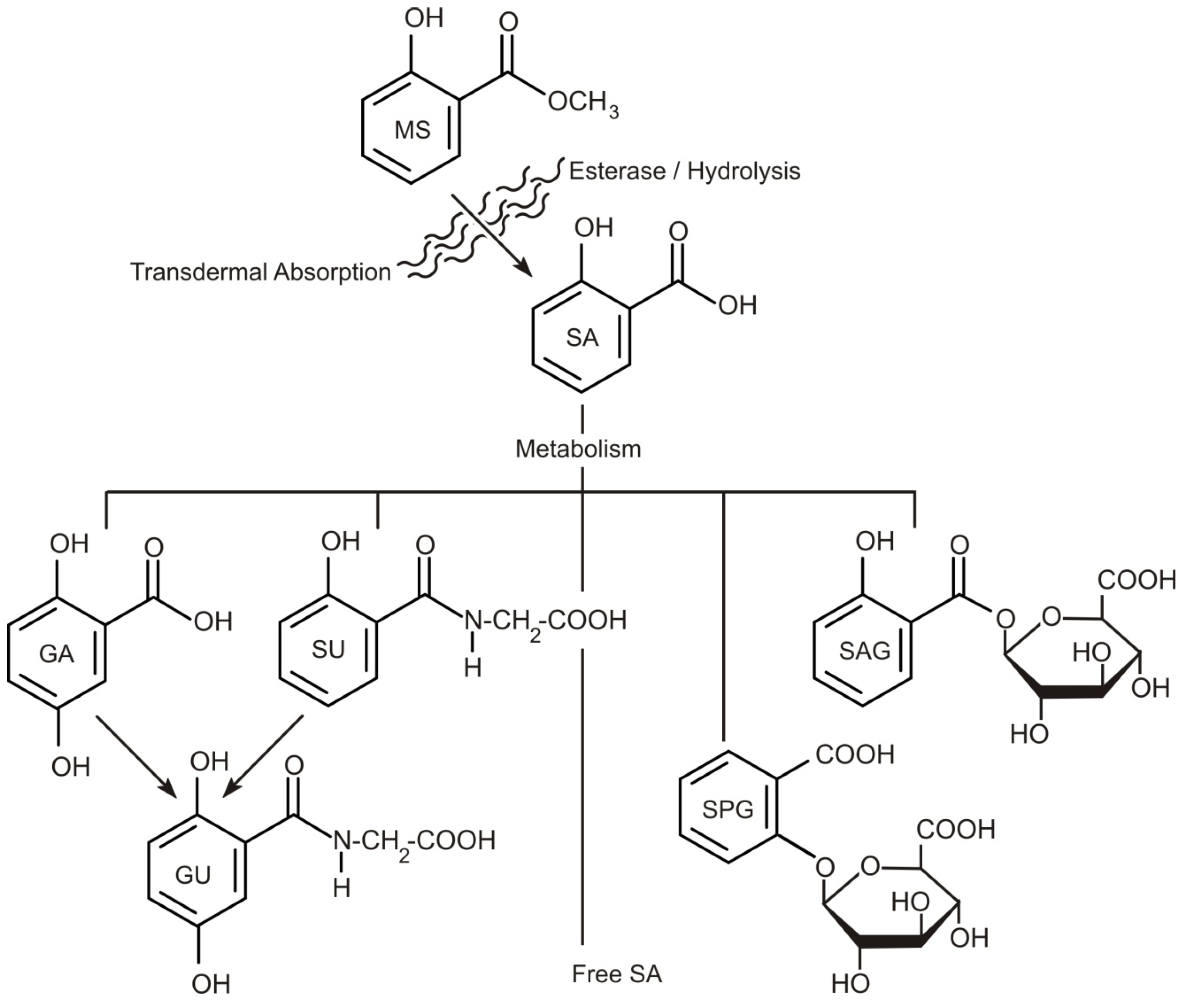Medicines 04 00048 g002