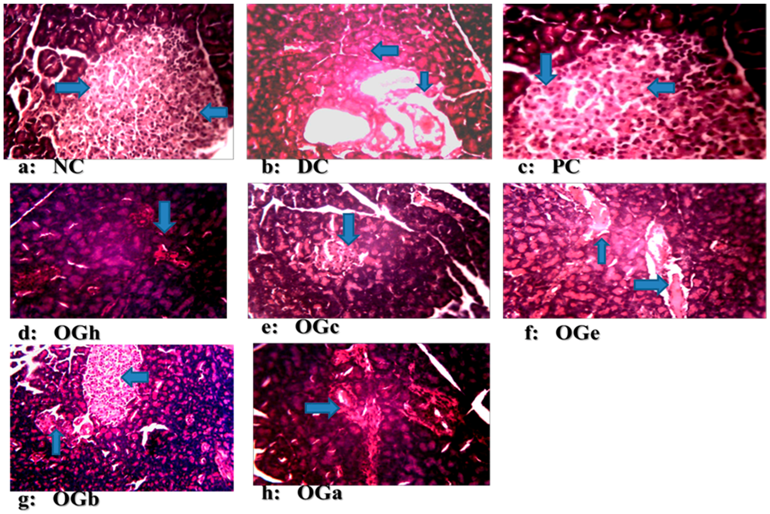 Medicines 04 00073 g006