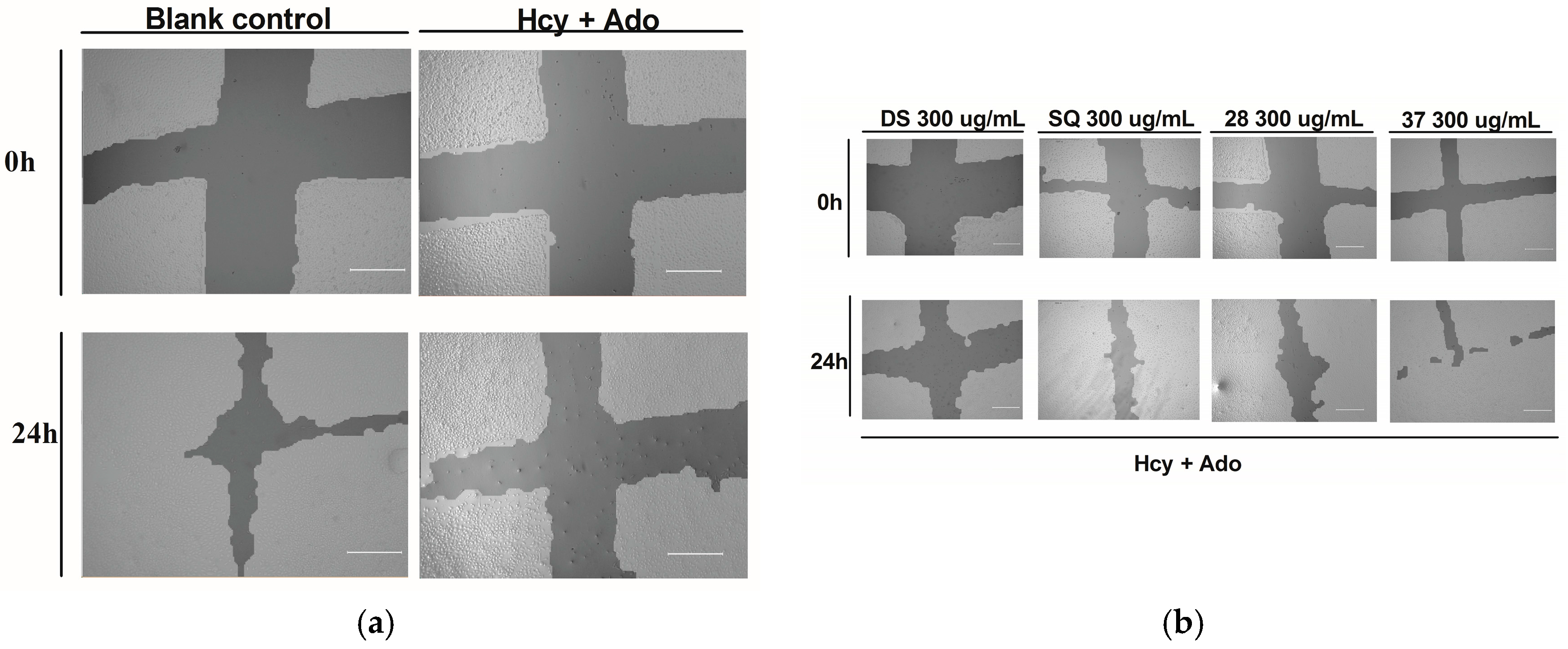 Medicines 04 00085 g002a