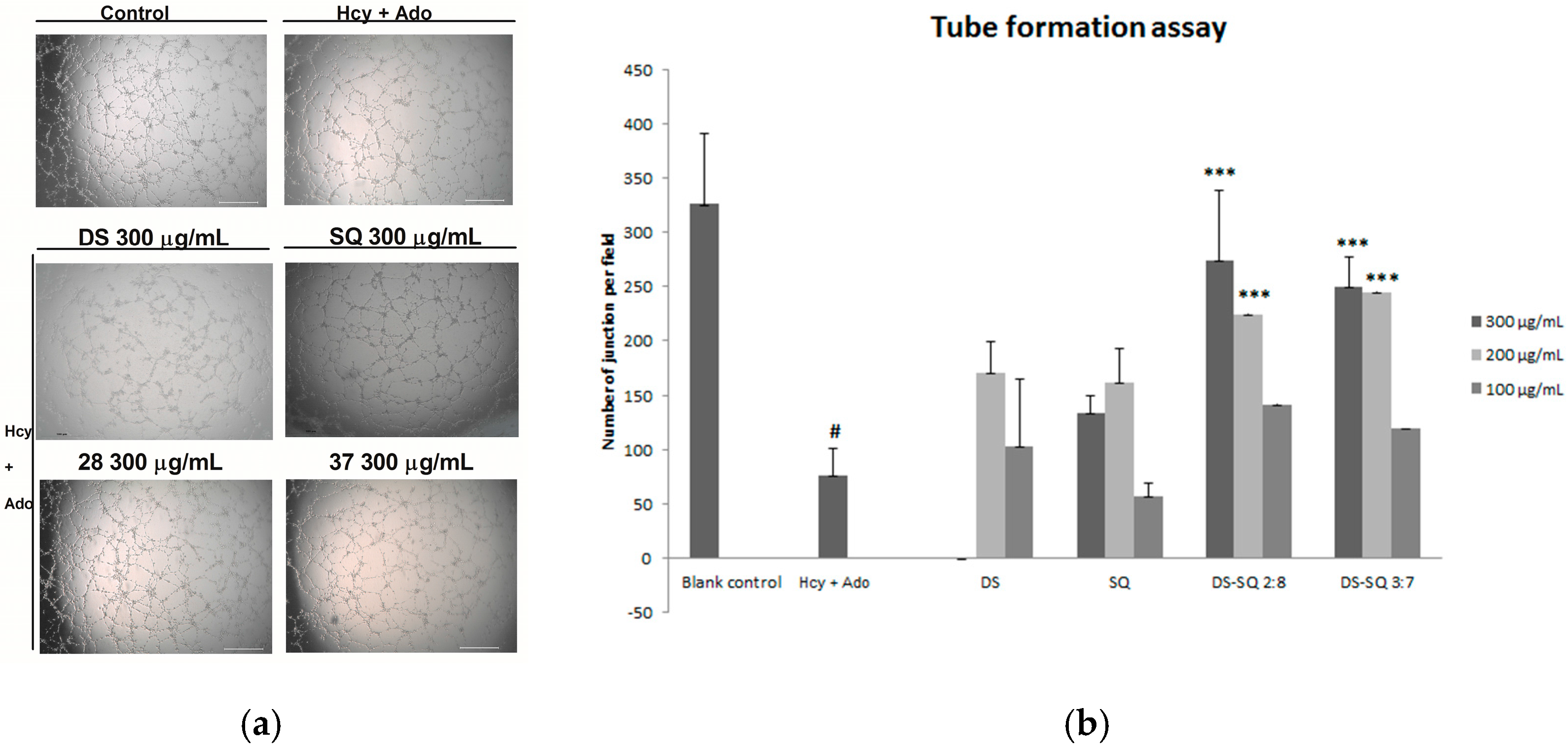 Medicines 04 00085 g003