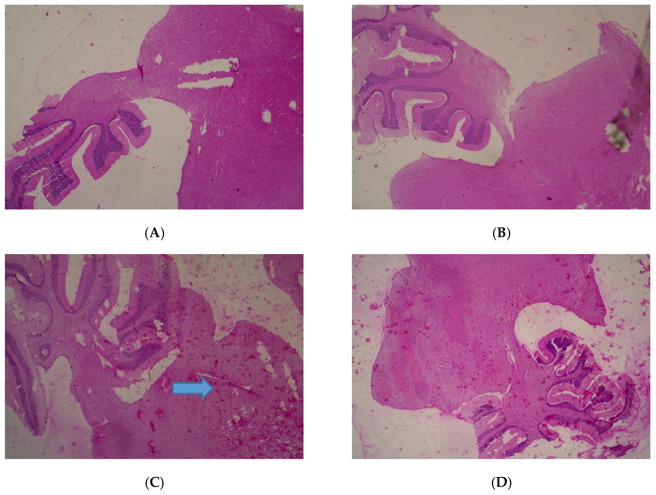 Medicines 05 00004 g001
